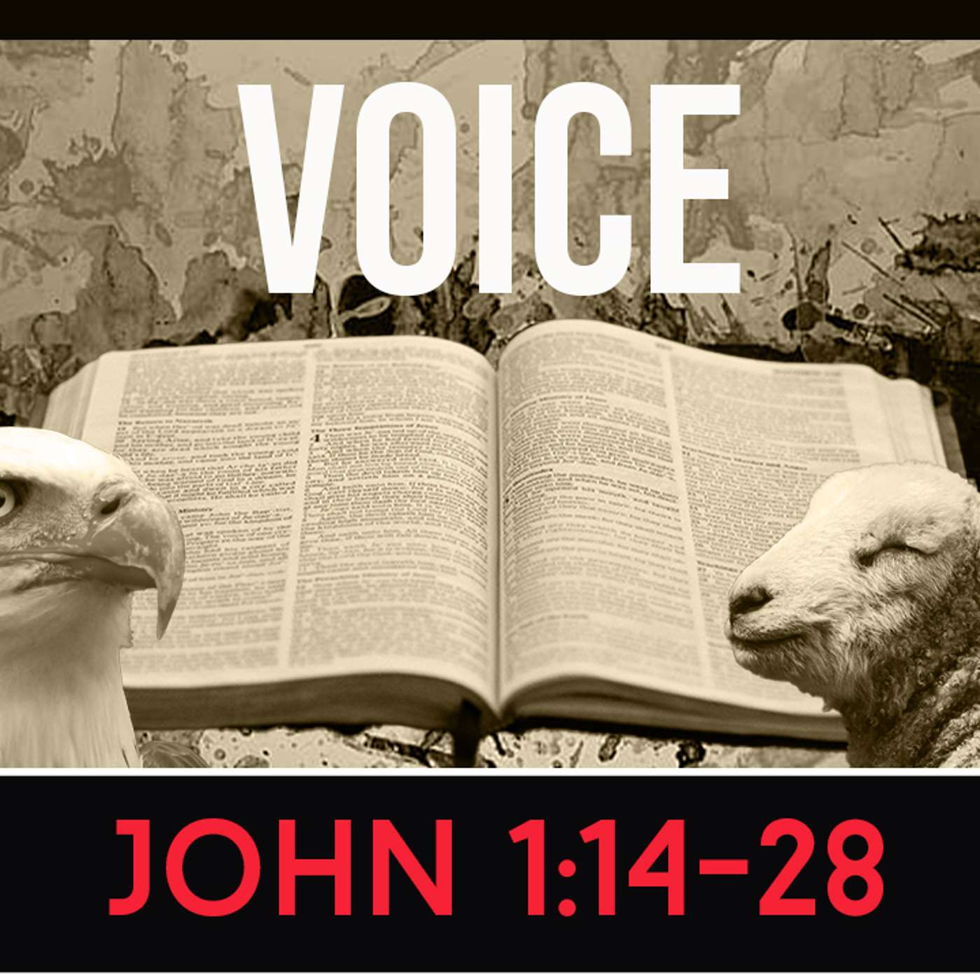 Voice - John 1:14-28 episode artwork