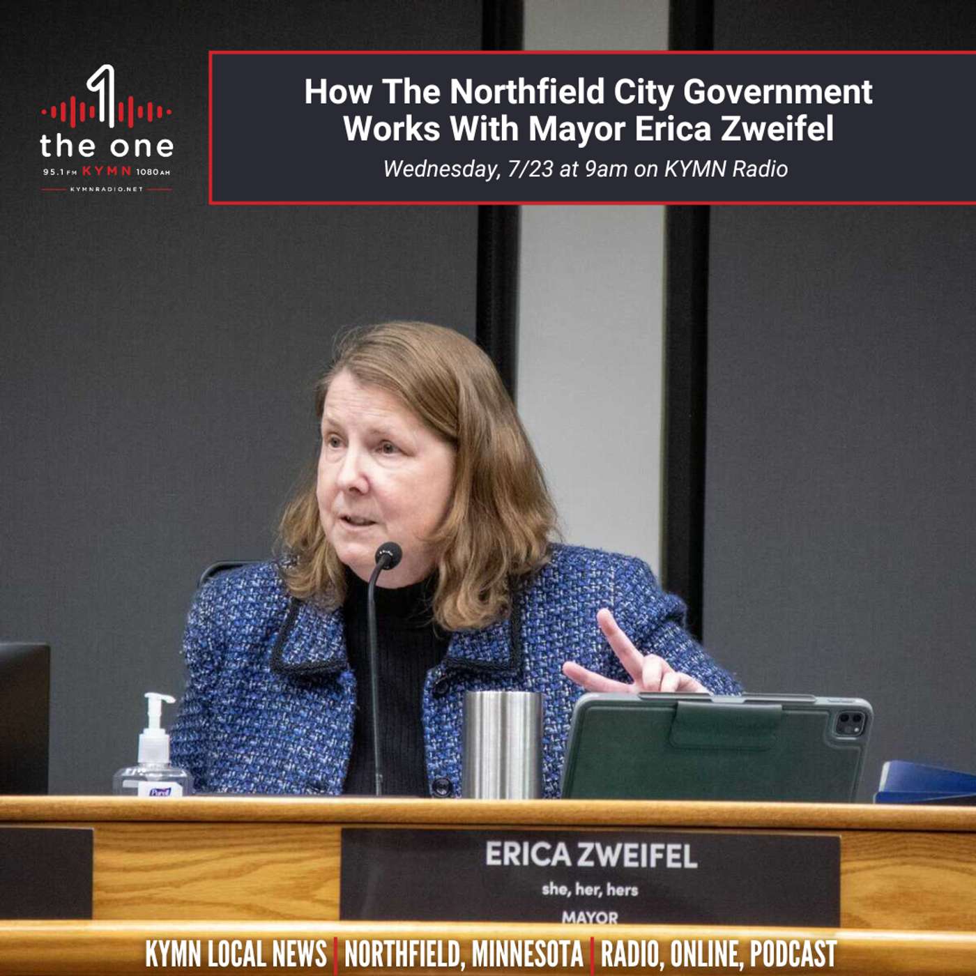 How the Northfield City Government Works - Something I Have Always Wondered About episode artwork