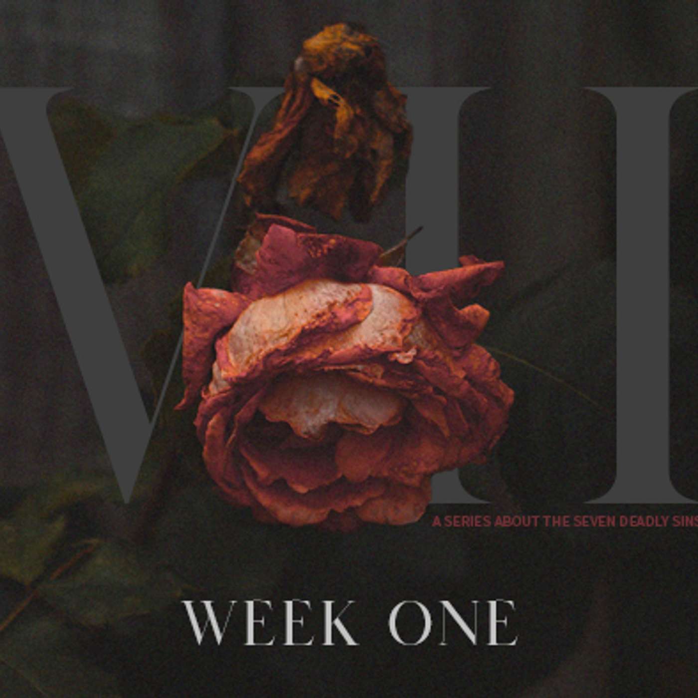 The Seven - Week One