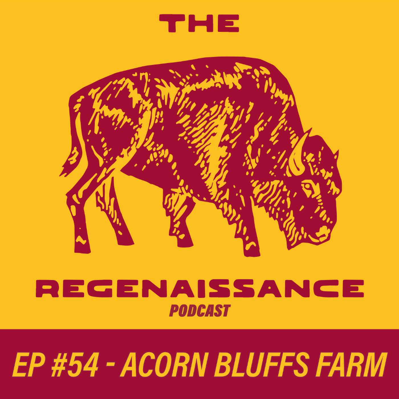 The Regenaissance Podcast