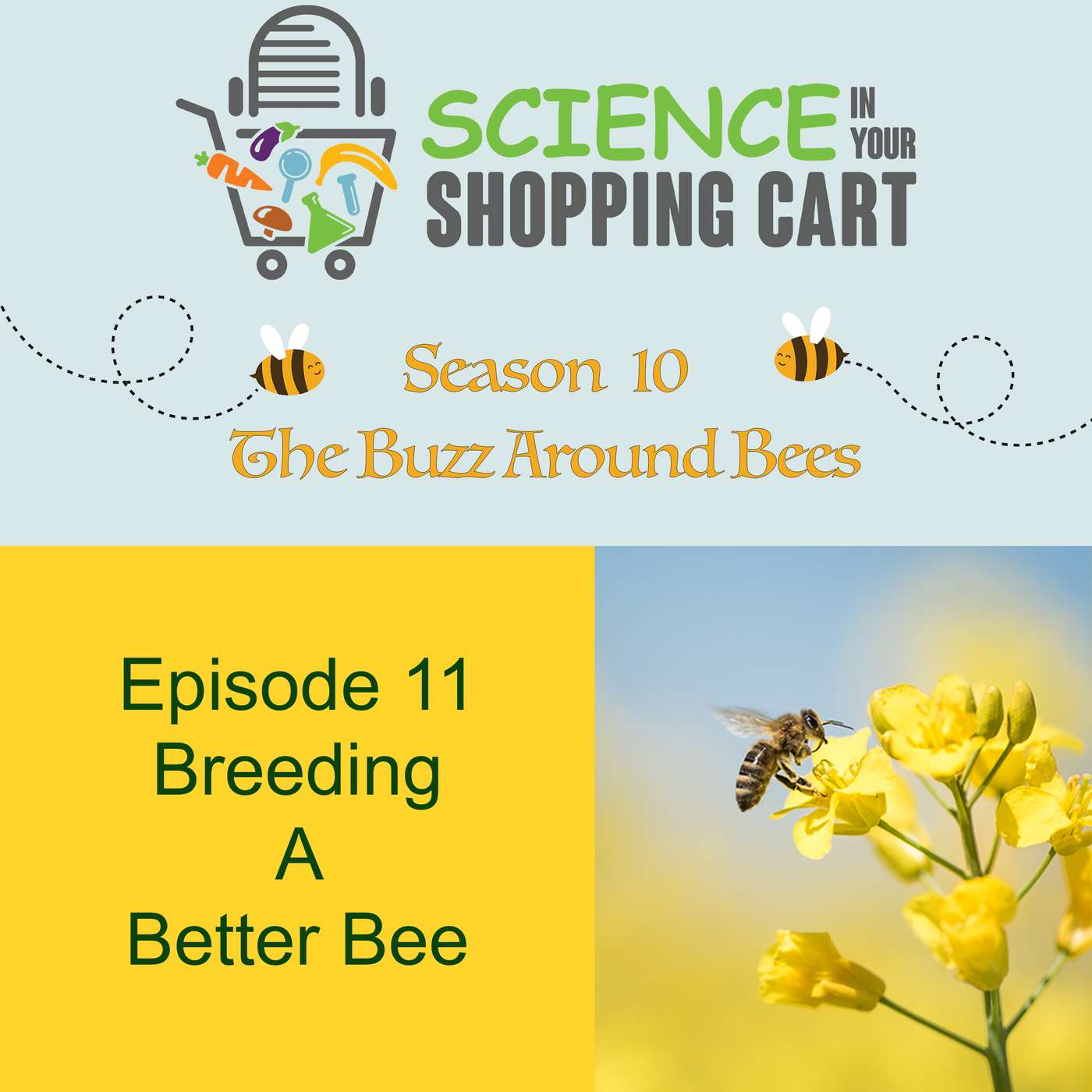 Season 10: The Buzz Around Bees | Episode 11: Breeding A Better Bee