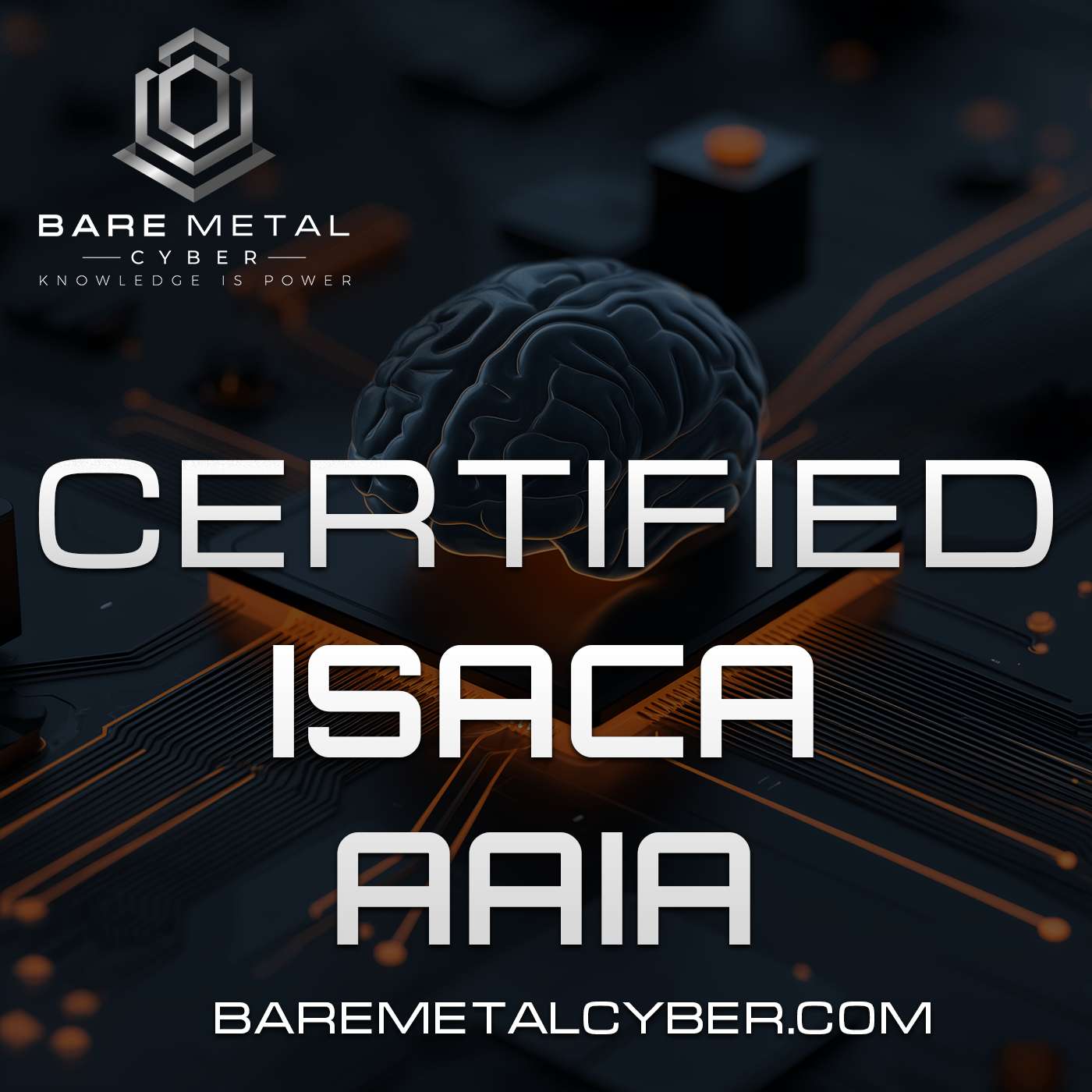 Certified: The ISACA AAIA Audio Course cover art