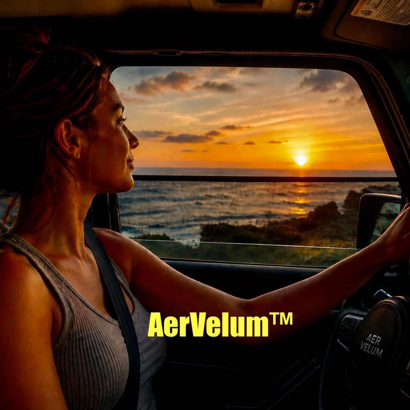 AerVelum Drive Podcast