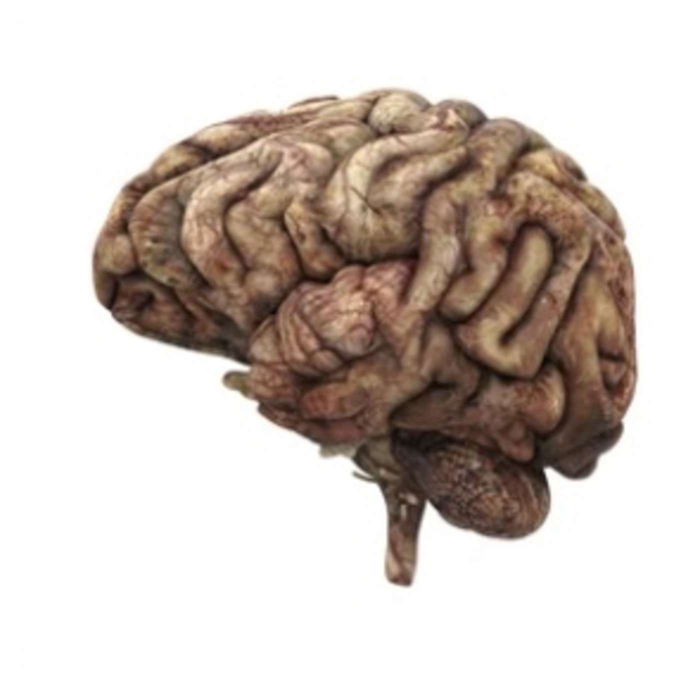 What SCROLLING is doing to your BRAIN episode artwork