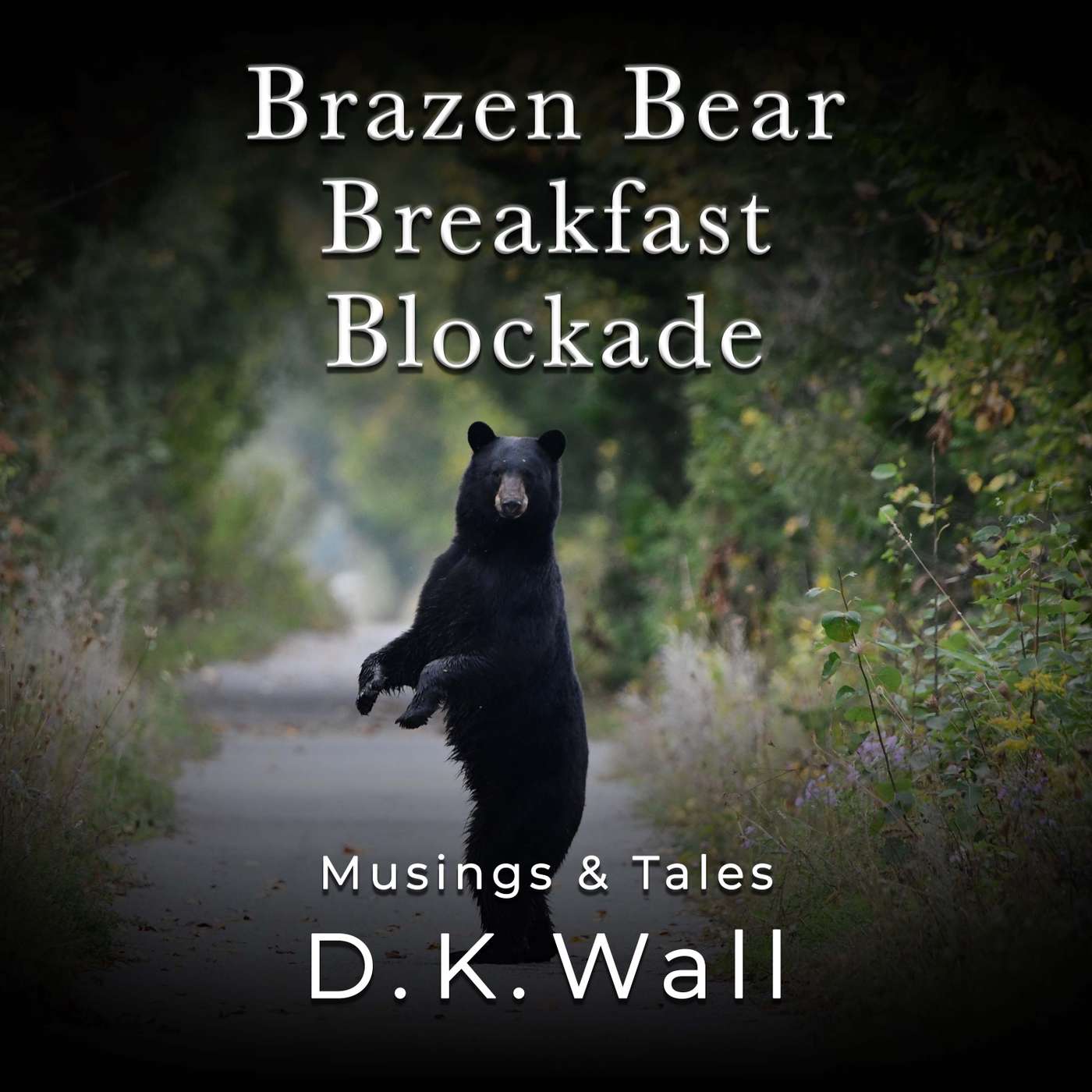 Brazen Bear Breakfast Blockade episode artwork