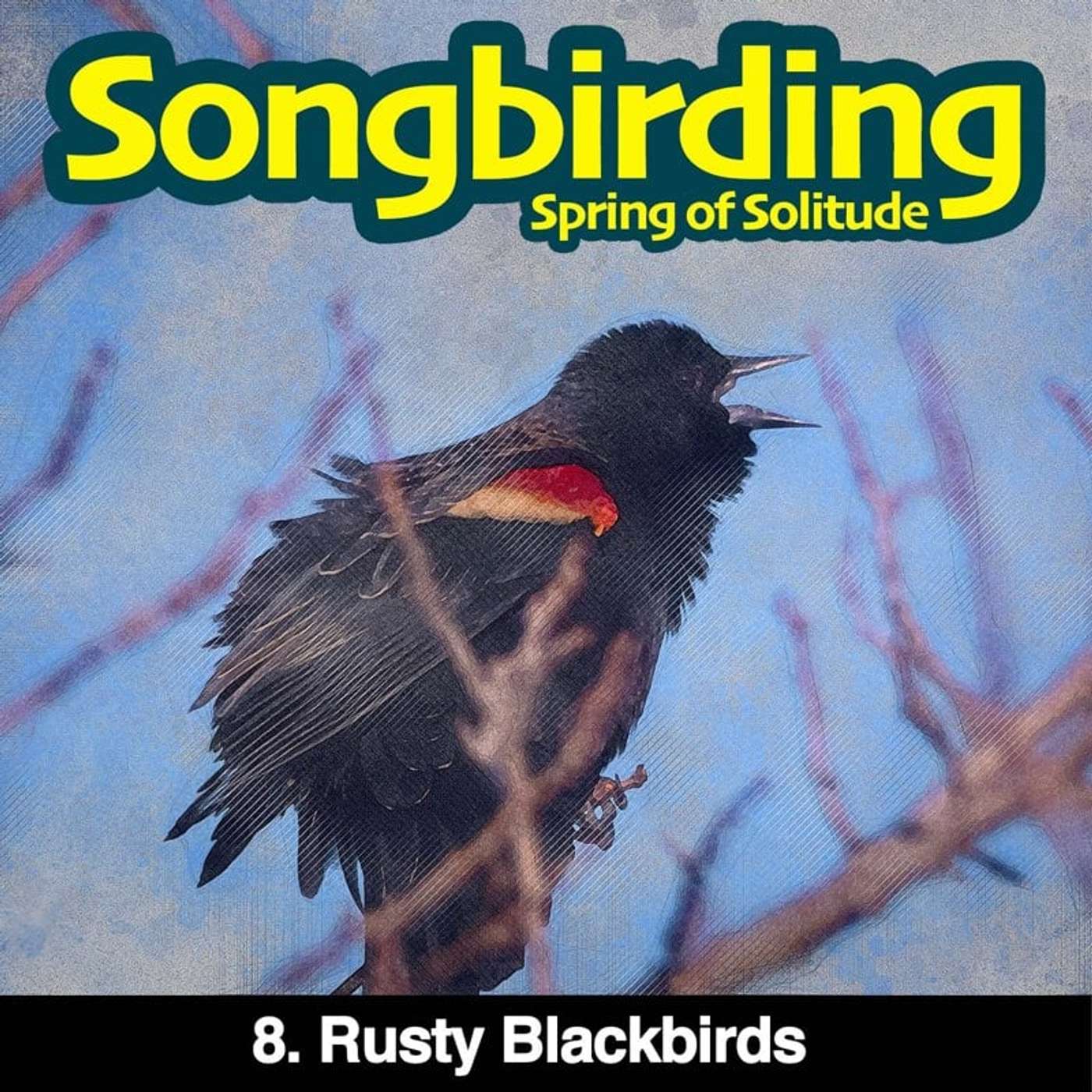 Songbirding