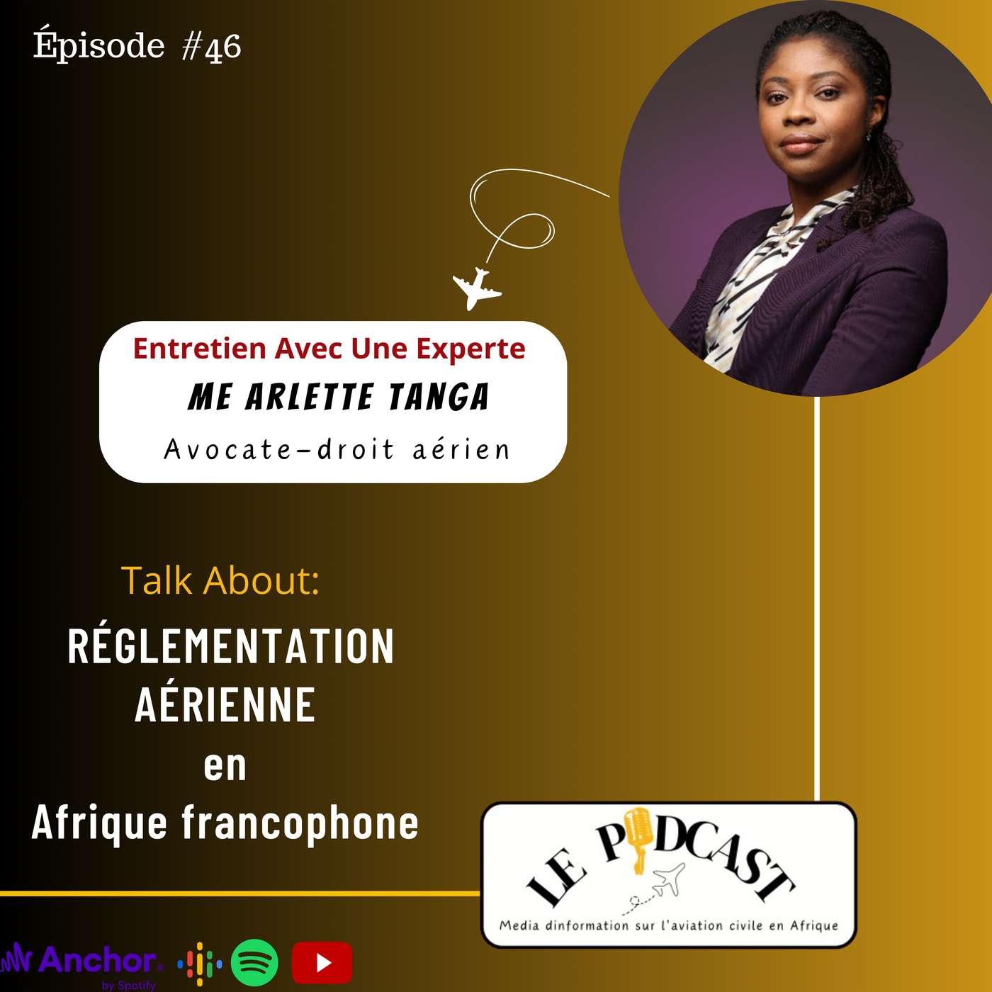 #️⃣4️⃣6️⃣ Réglementation de l'Aviation Civile en Afrique Francophone #️⃣4️⃣6️⃣ Réglementation de l'Aviation Civile en Afrique Francophone