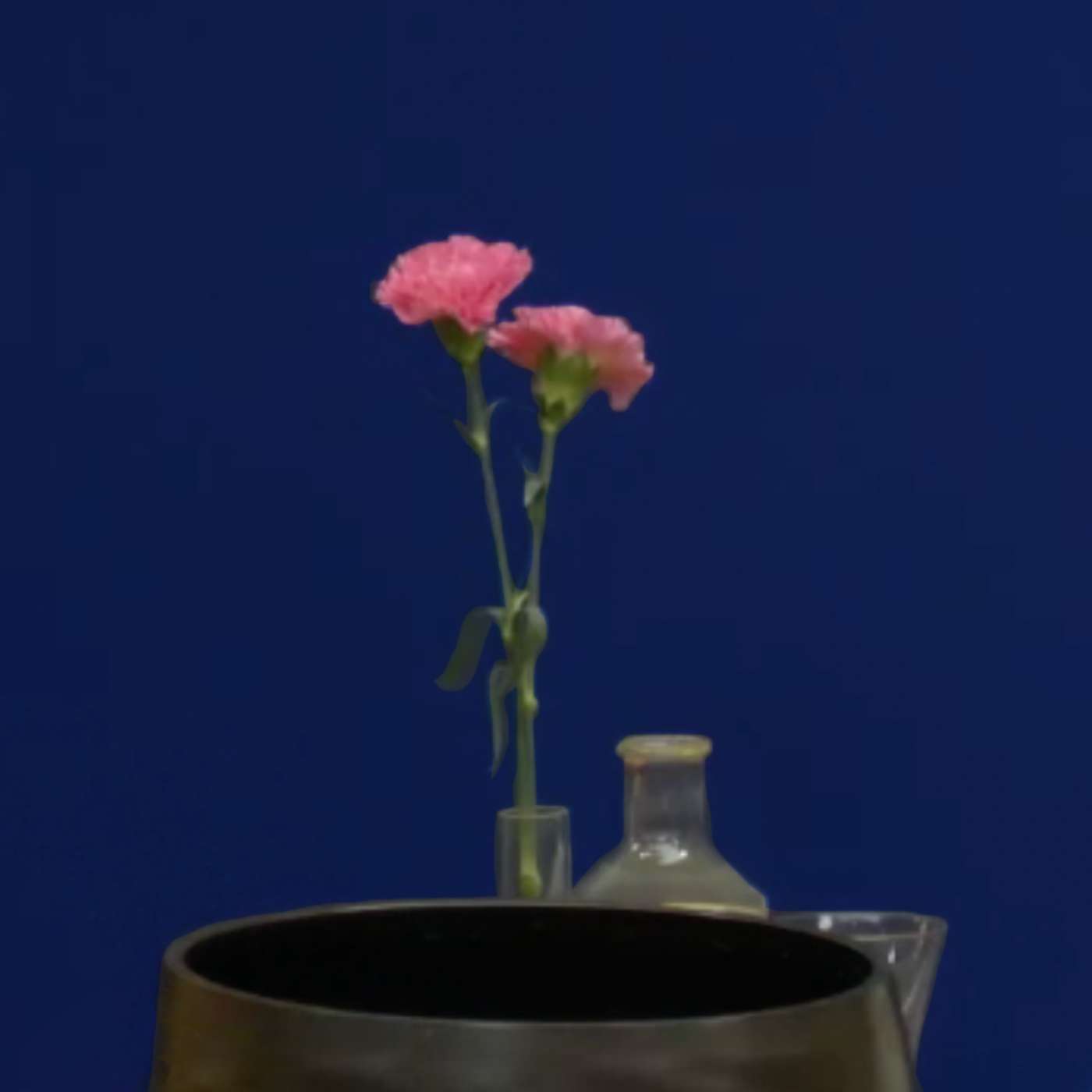 Ouvrir son cœur - Les pratiques sur l'enfant intérieur - 2026 cover art