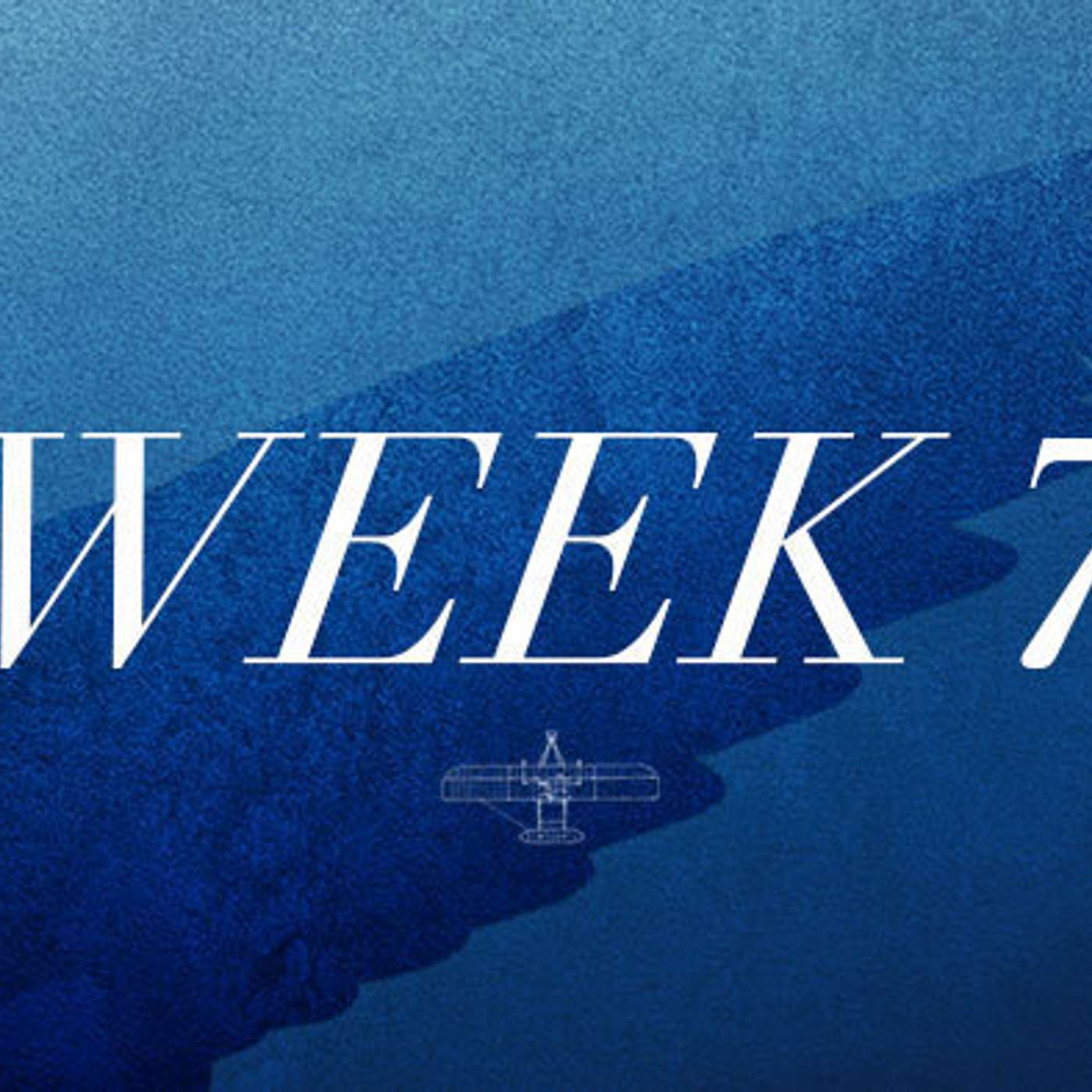 Taking Flight - Week Seven