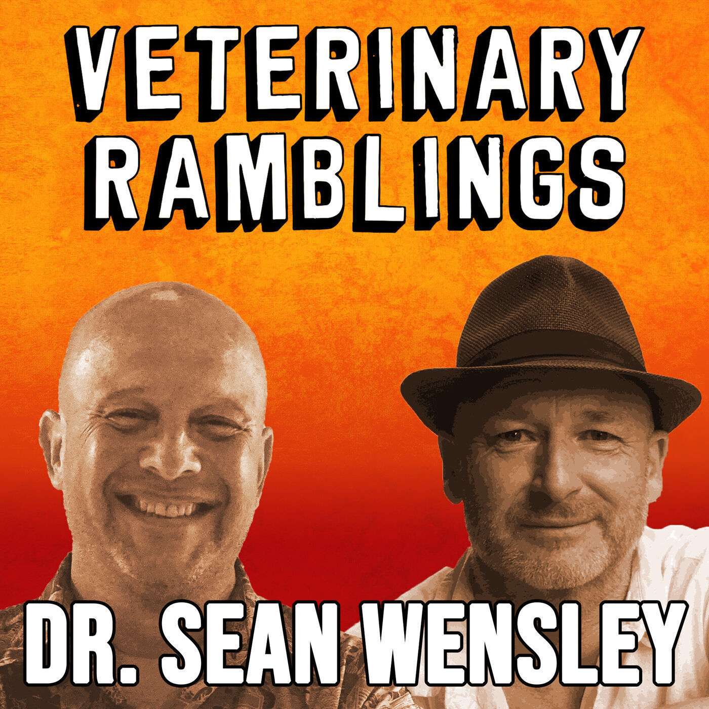 Veterinary Ramblings