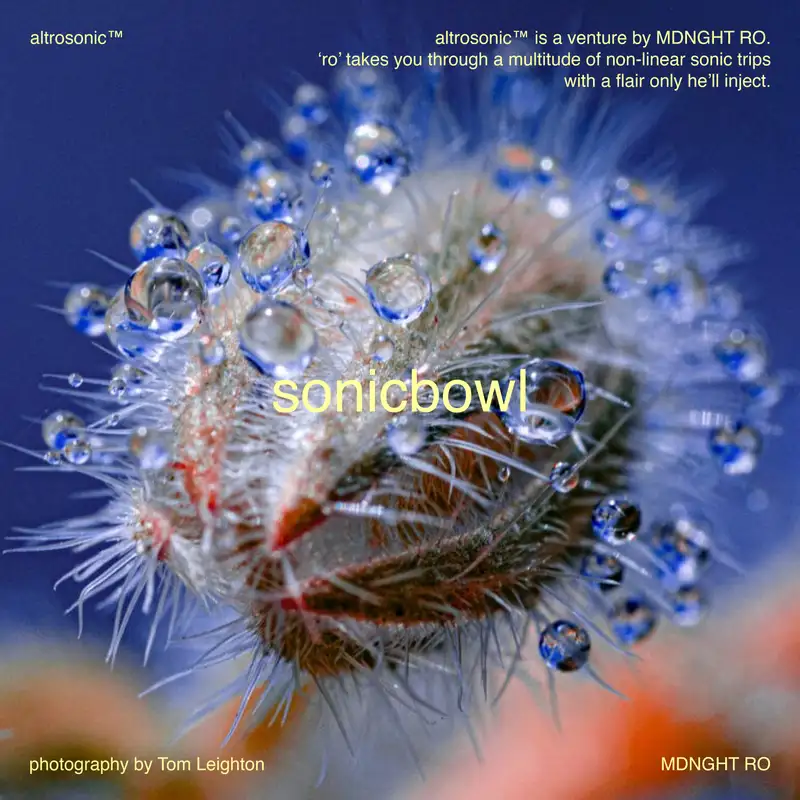 sonicbowl