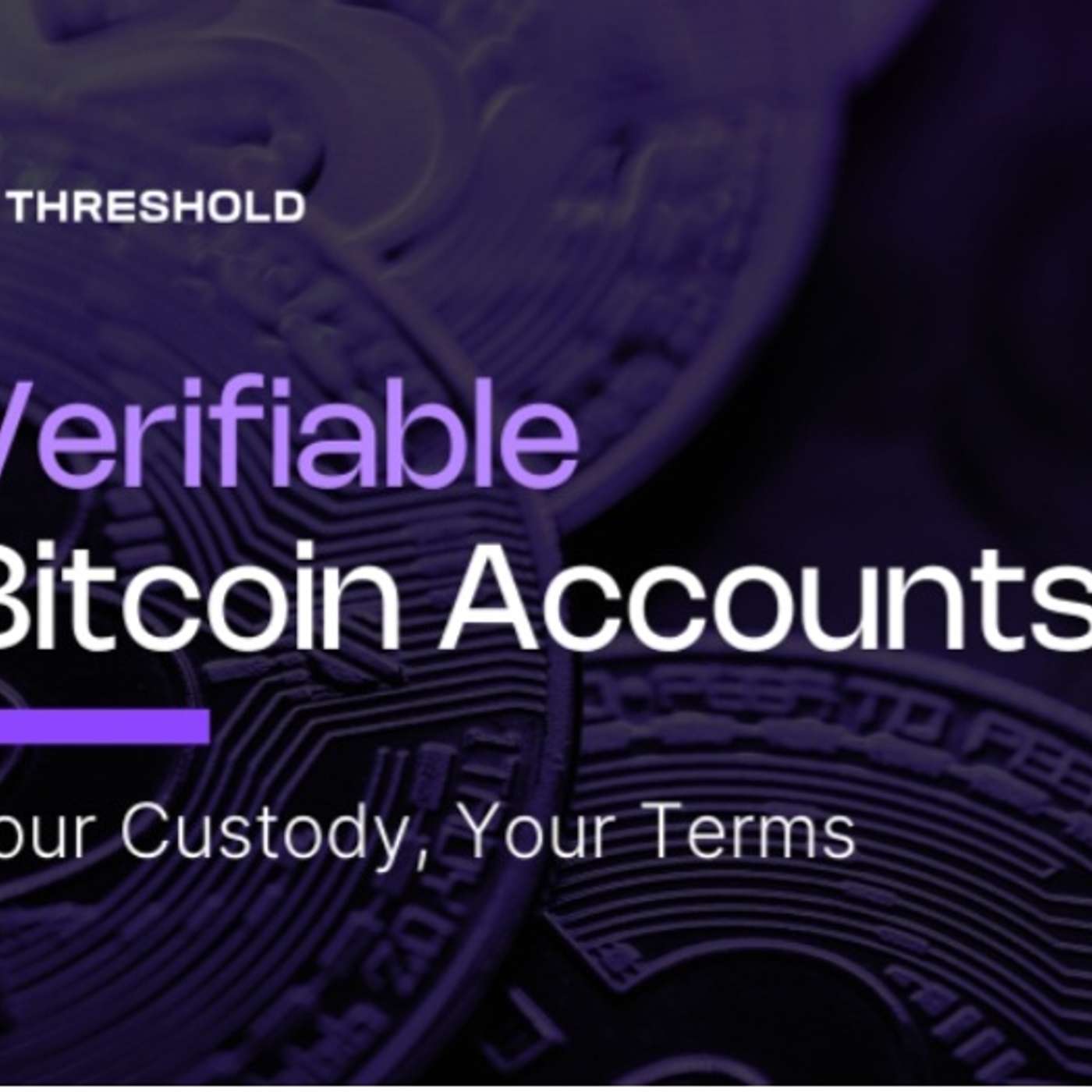 Verifiable Bitcoin Accounts for Institutional Bitcoin. Your Custody, Your Terms