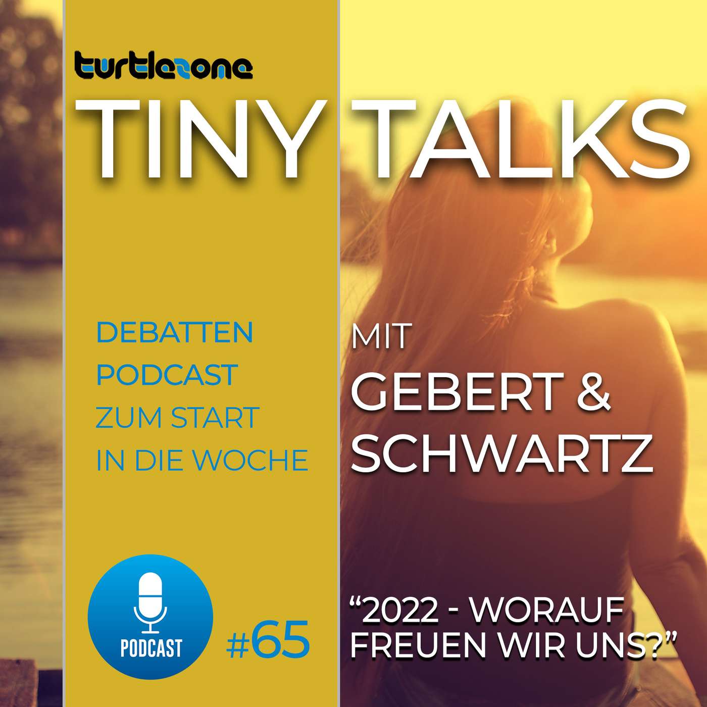 Turtlezone Tiny Talks - Der Debatten-Podcast mit Gebert und Schwartz