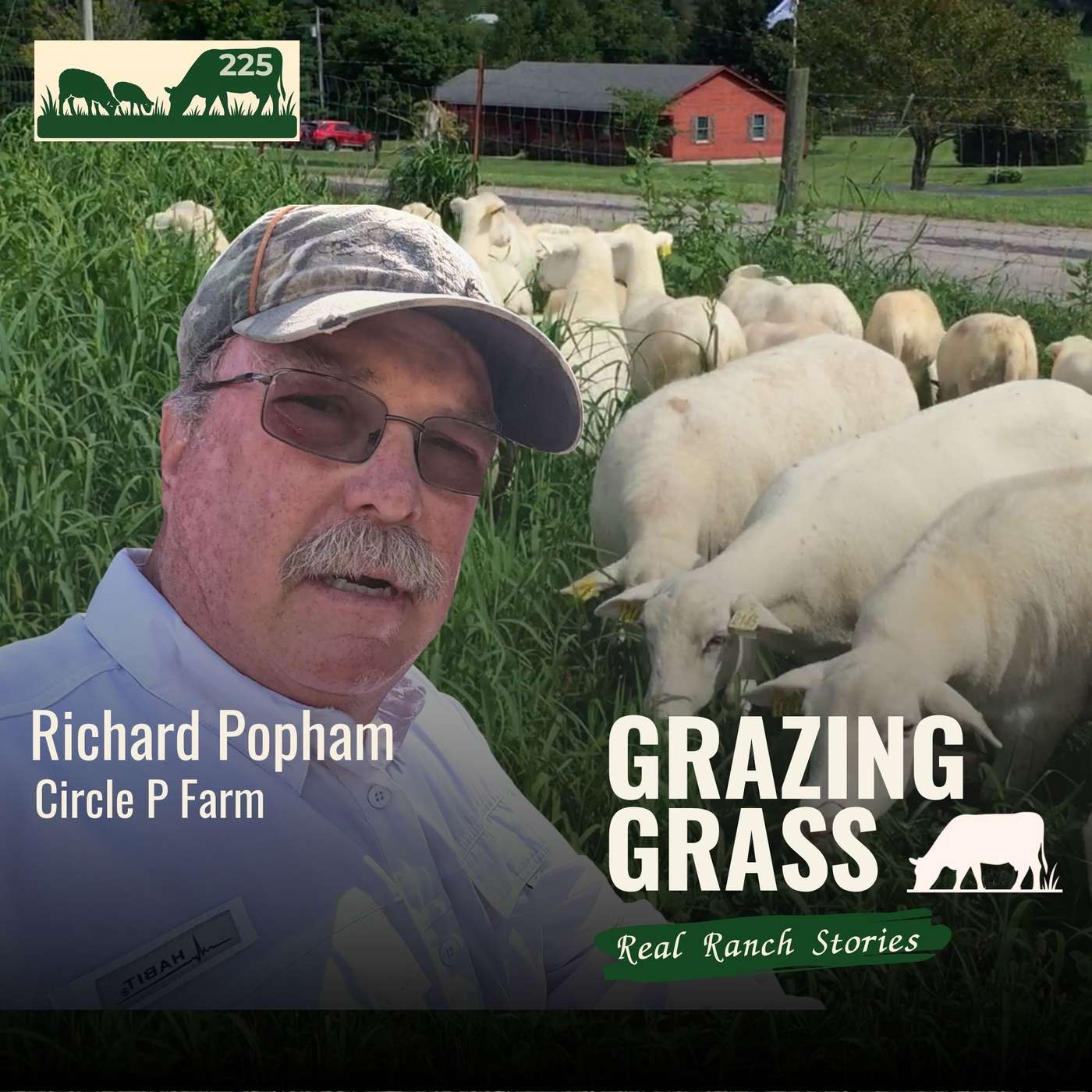 225 | Sheep, Polywire, and Practical Grazing with Richard Popham