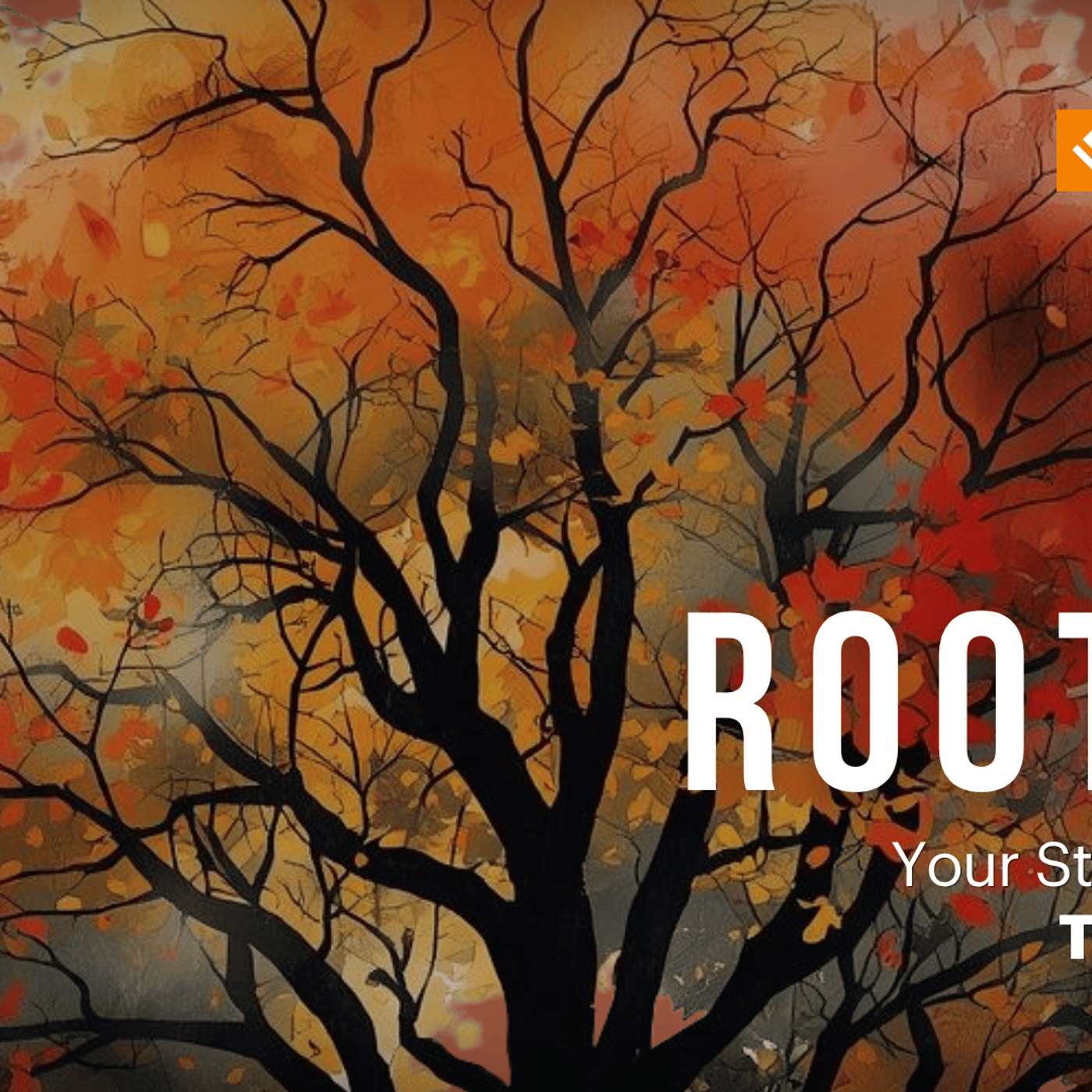 Rooted | Your Story Matters | Week 13