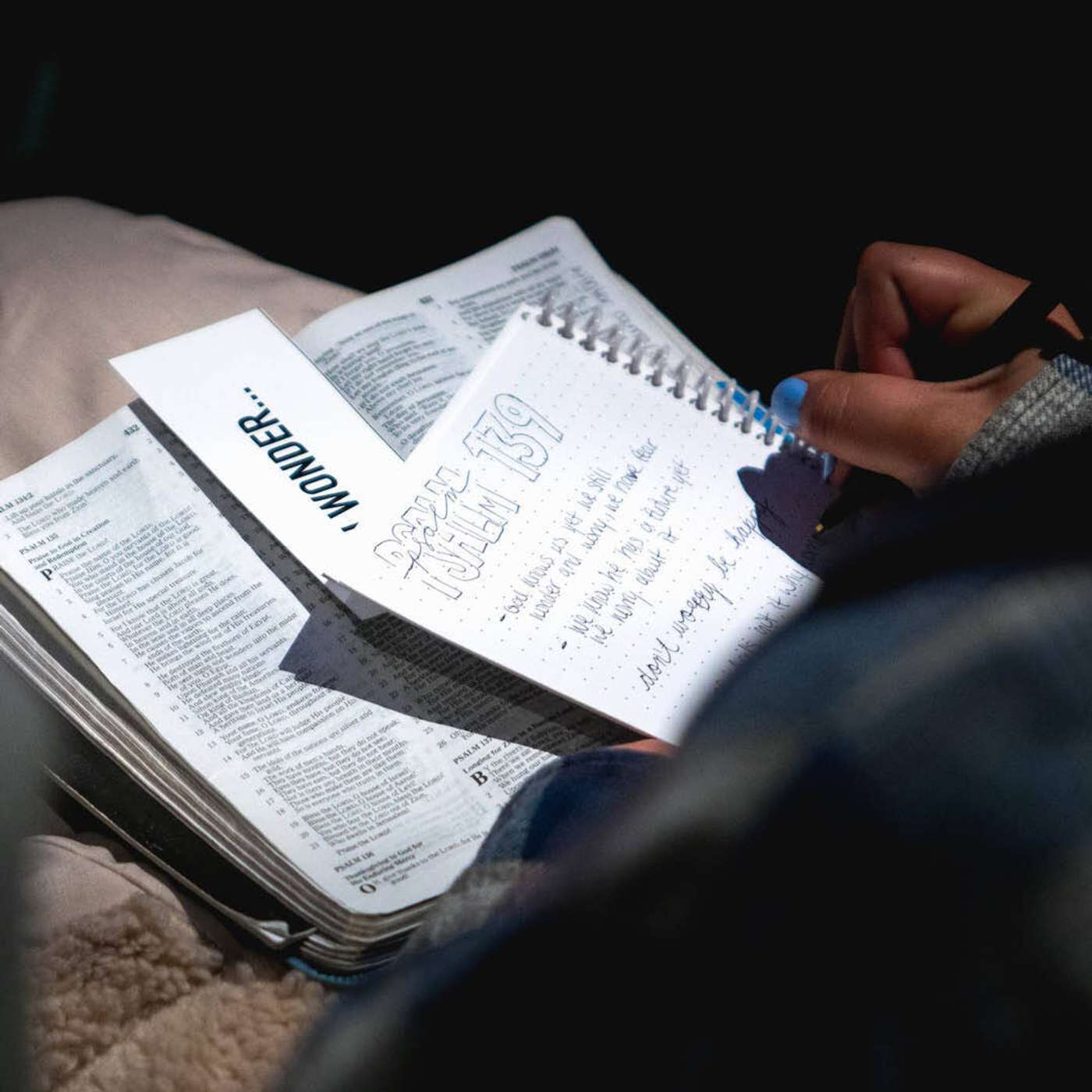 TFL BLOG | What About the Bible? episode artwork