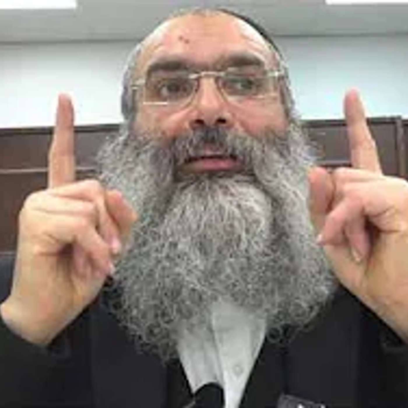 כלב טרף חתולה בשווי אלפי שקלים – מי משלם את הנזק?▪️הרב נחמנסון▪️(שטיינבאך שול כפר חב"ד)