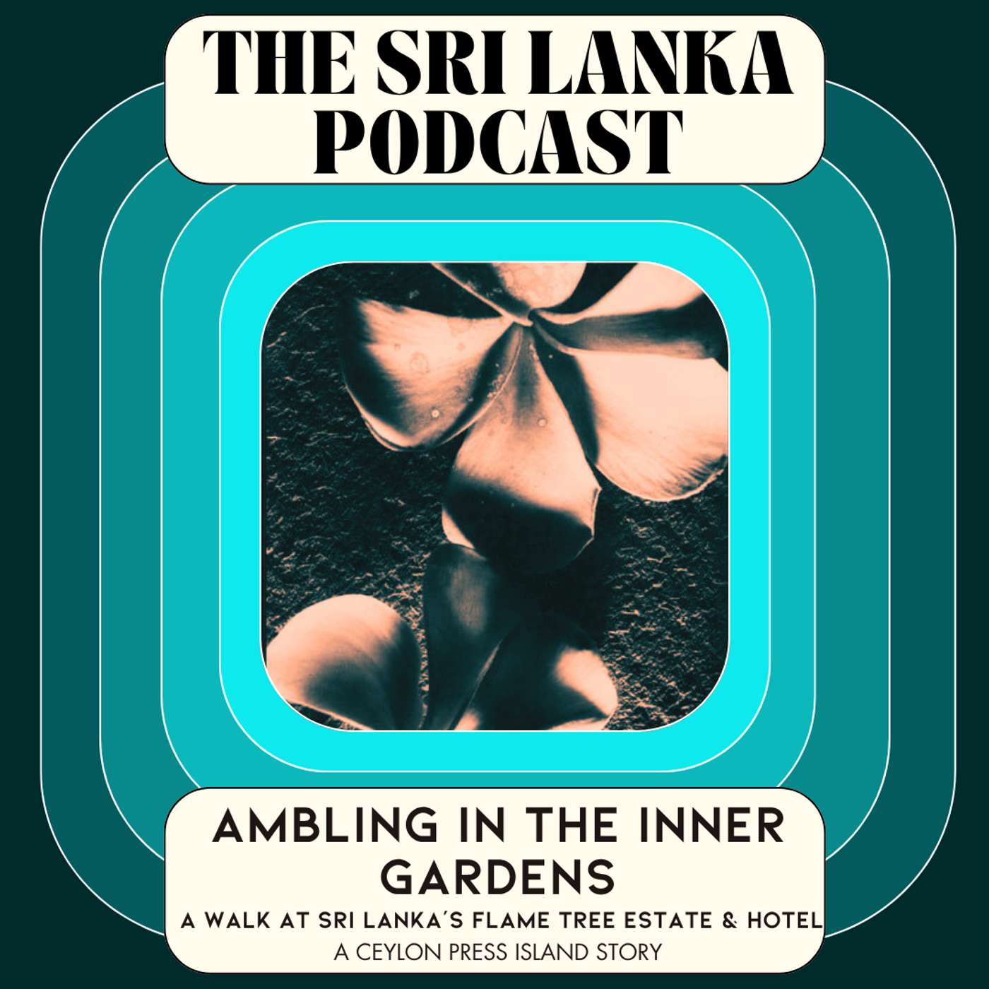Ambling in the Inner Gardens: A Walk at Sri Lanka’s Flame Tree Estate & Hotel. A Ceylon Press Island Story episode artwork