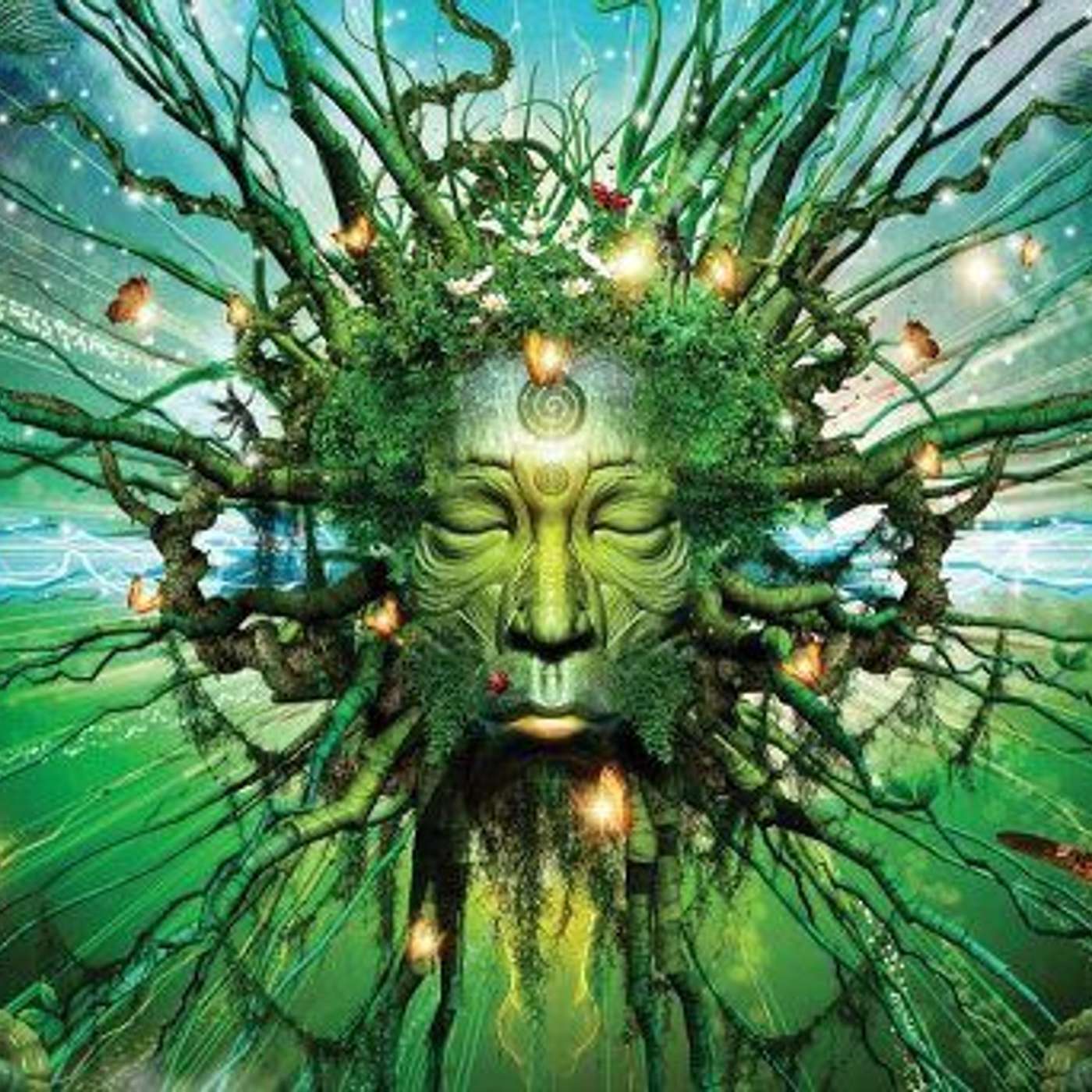 What is it like to take Iboga? - Levi Barker: Iboga Provider at Iboga Wellness Center