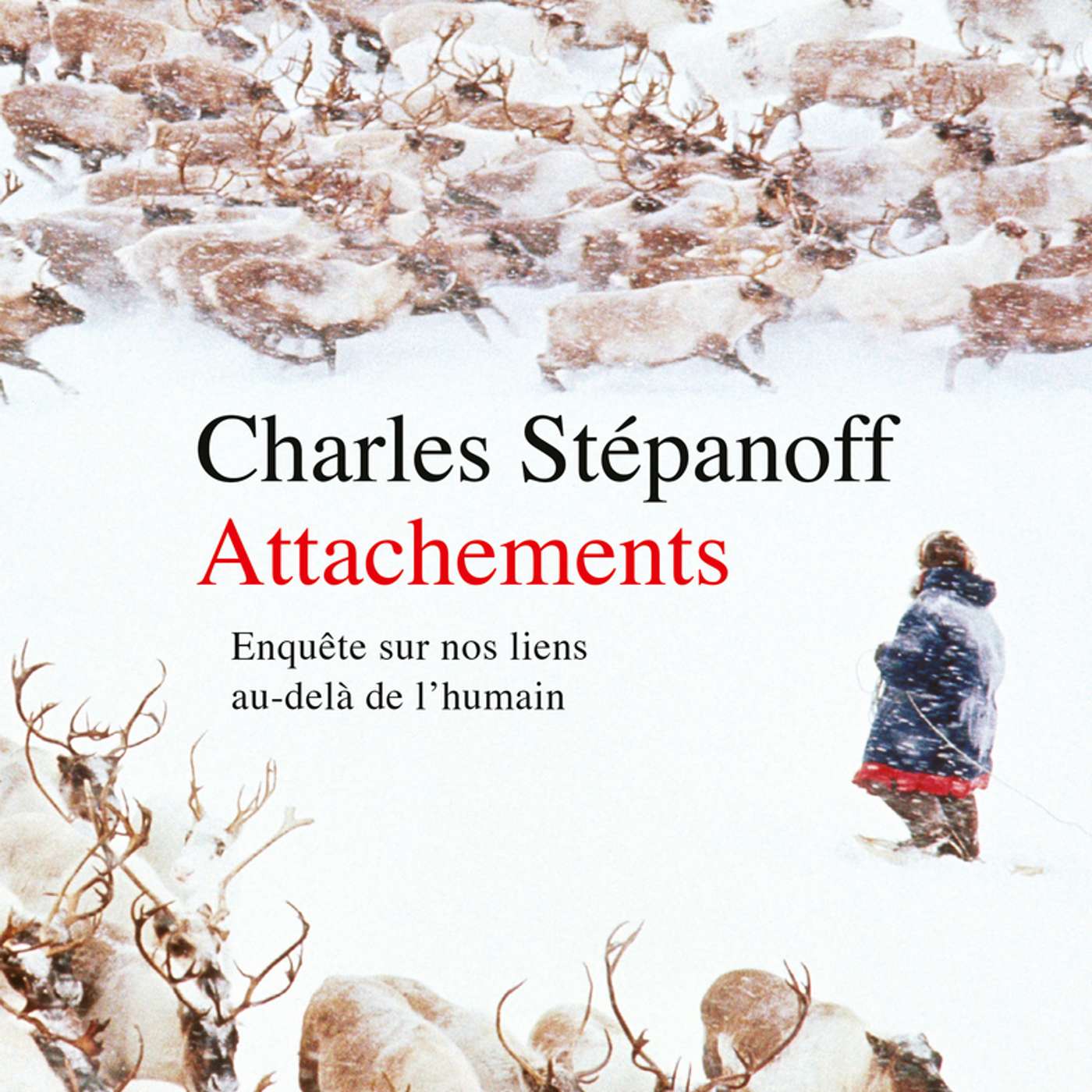 "Attachements. Enquête sur nos liens au-delà de l'humain" de Charles Stépanoff par Bérénice Gagne (2/2)