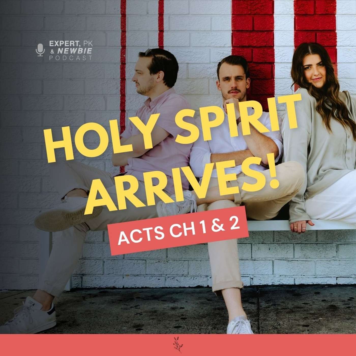 Expert, PK & Newbie Podcast