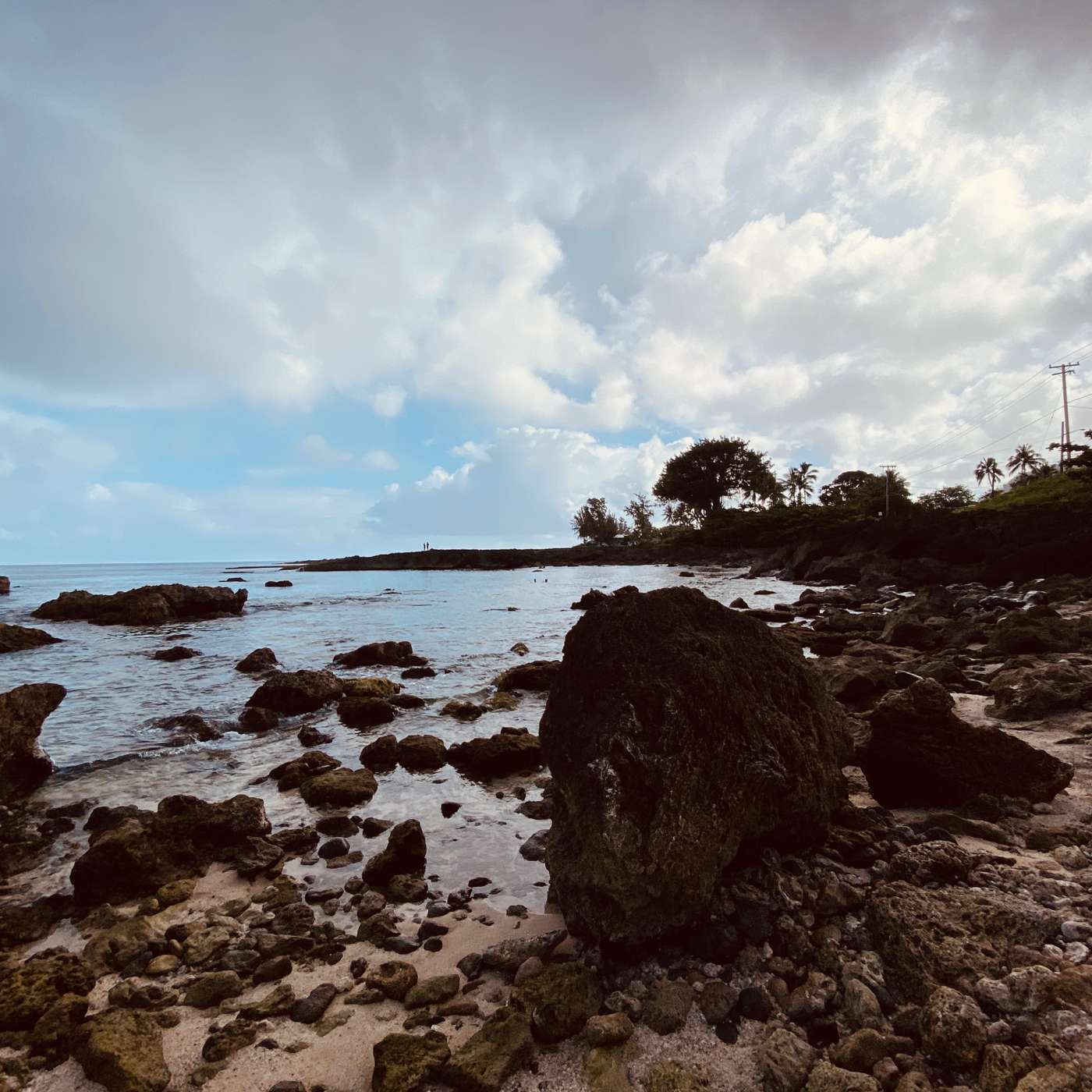 Censorship Sparks Rebellion: Celebrating Psychedelic Defiance in a Controlled World 2025