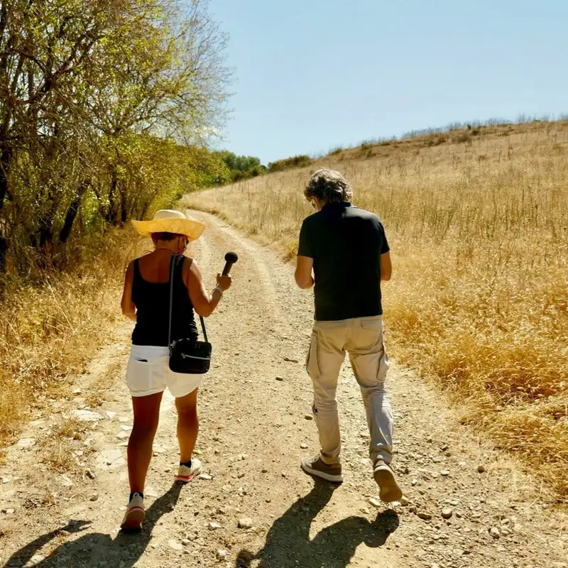 Sardinia, which is like nowhere