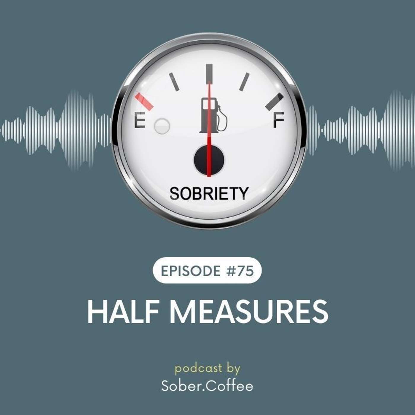 "Half-Assed..."  (I Mean, "Half-Measures...") - Are you All-In ?? episode artwork