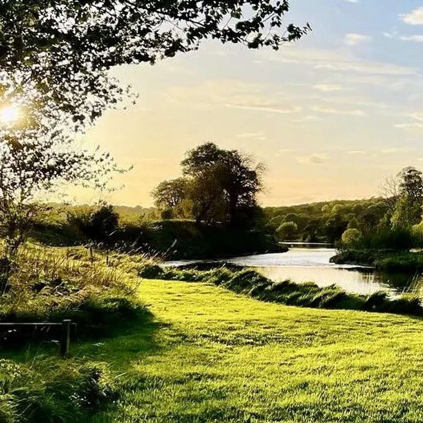 Ben Goldsmith & How Rewilding Can Help Restore Nature episode artwork