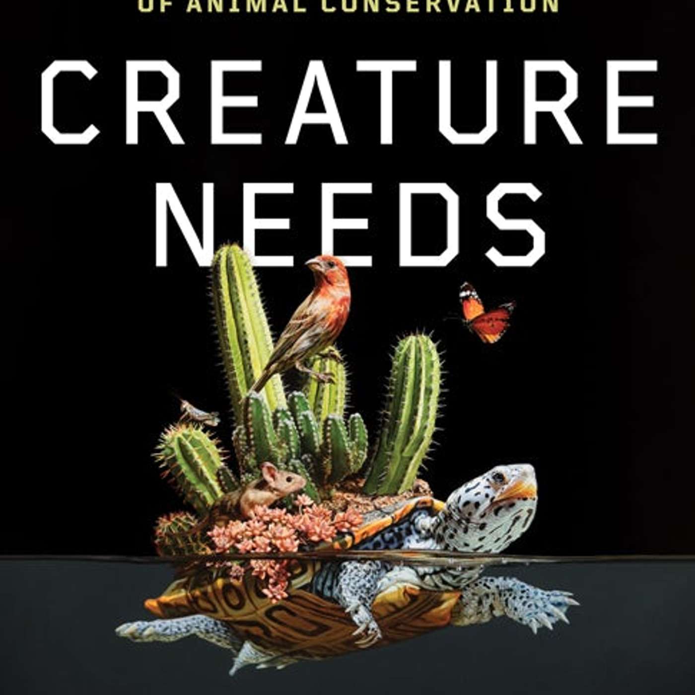 University of Minnesota Press