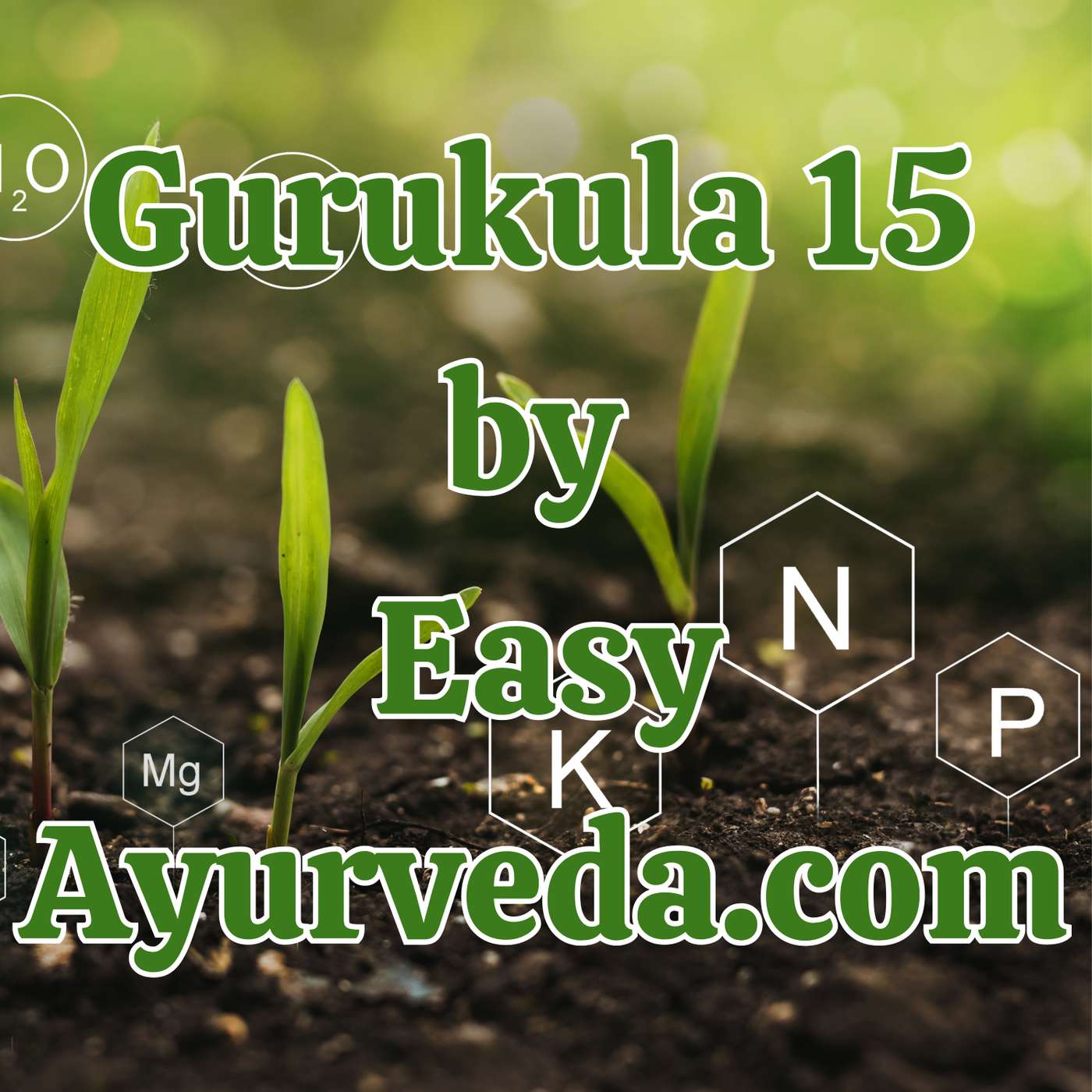 Gurukula 15: Micronutrients And Ayurveda| Supplements through diet| Vitamins & Minerals Deficiency episode artwork