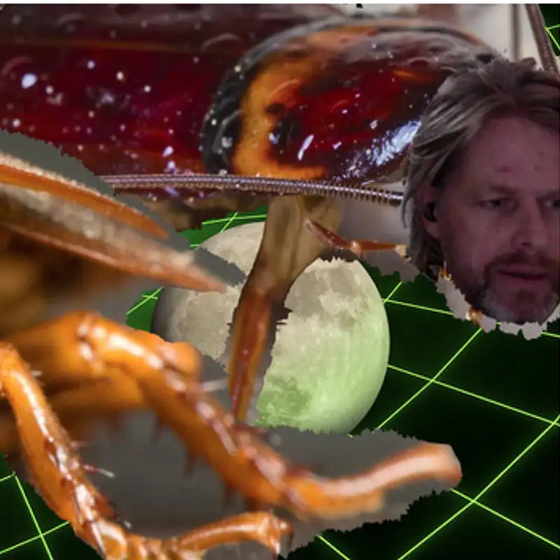 What do you know about gravity?