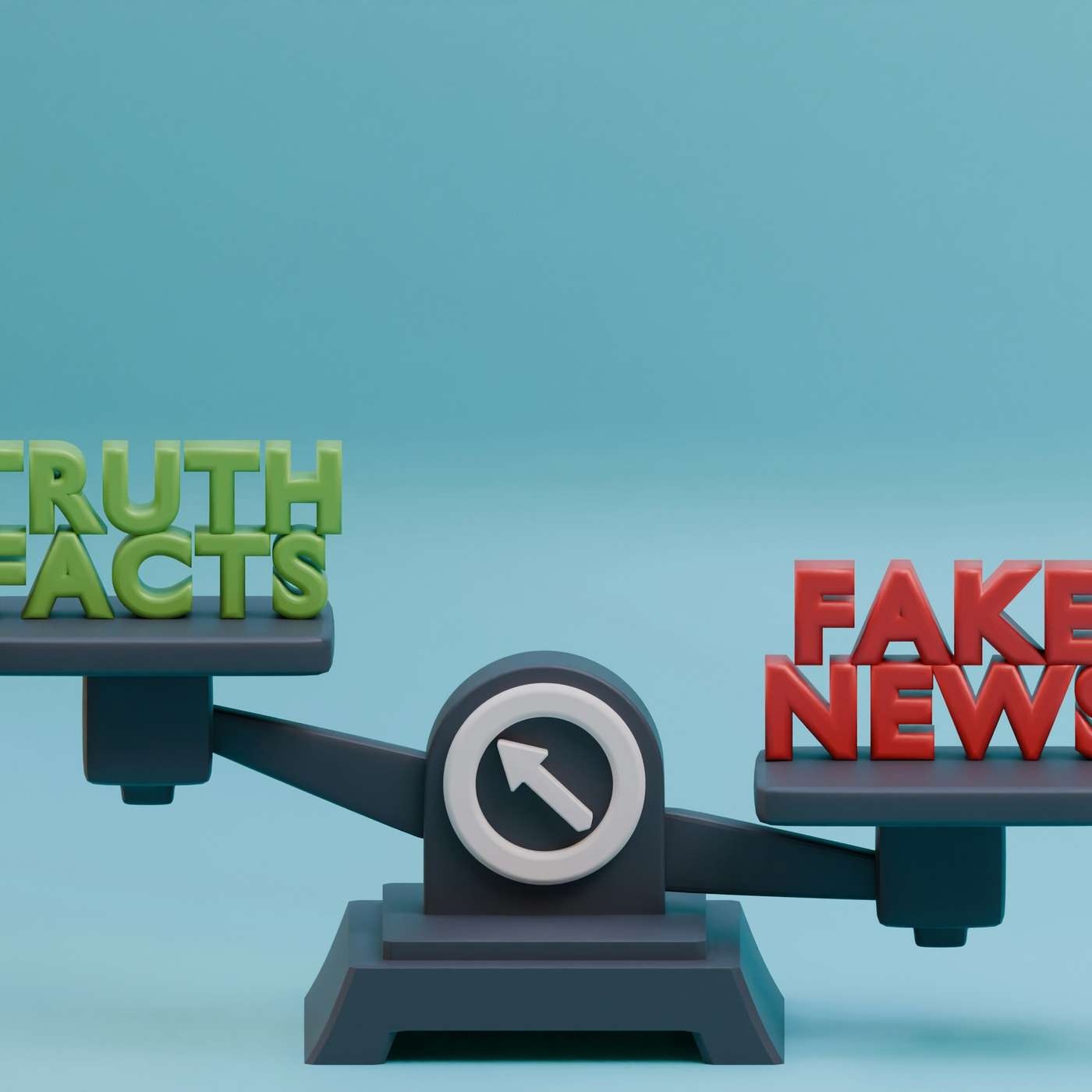 How Misinformation Impacts Immigrant Communities: Pitches and Ideas