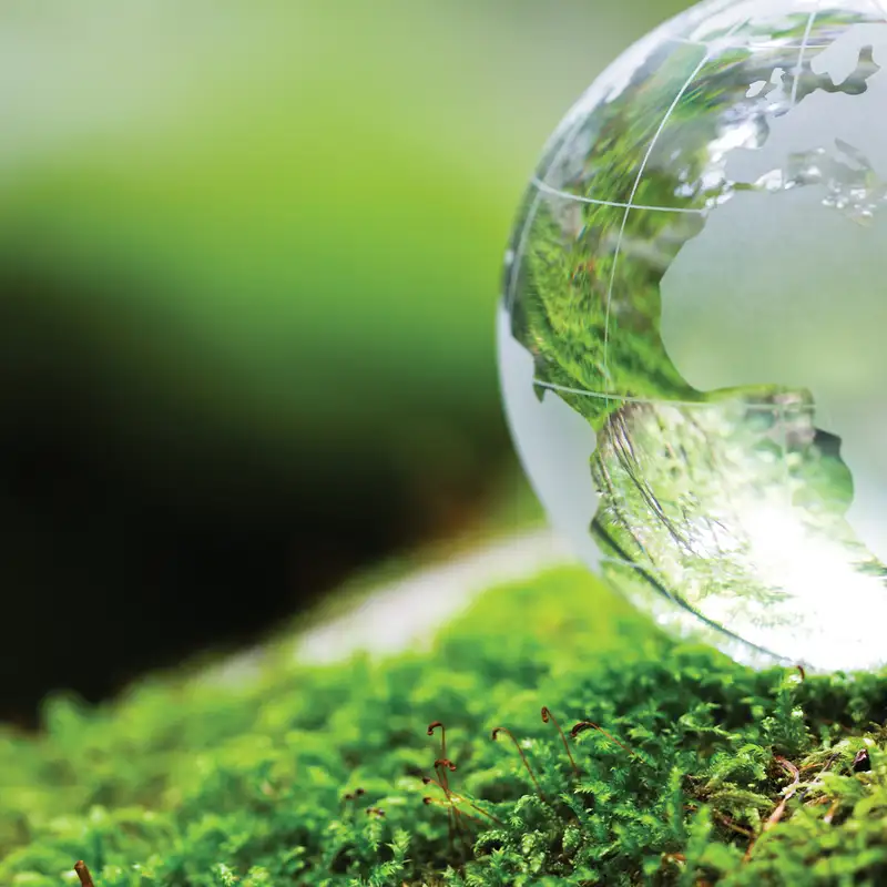 A Green Sabbath—or God’s Sabbath?