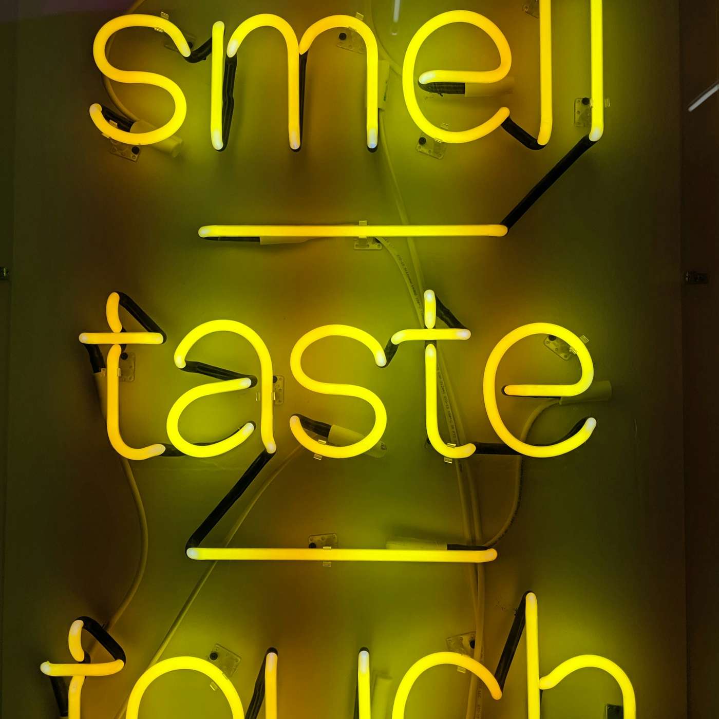 The Ten Thousand Things