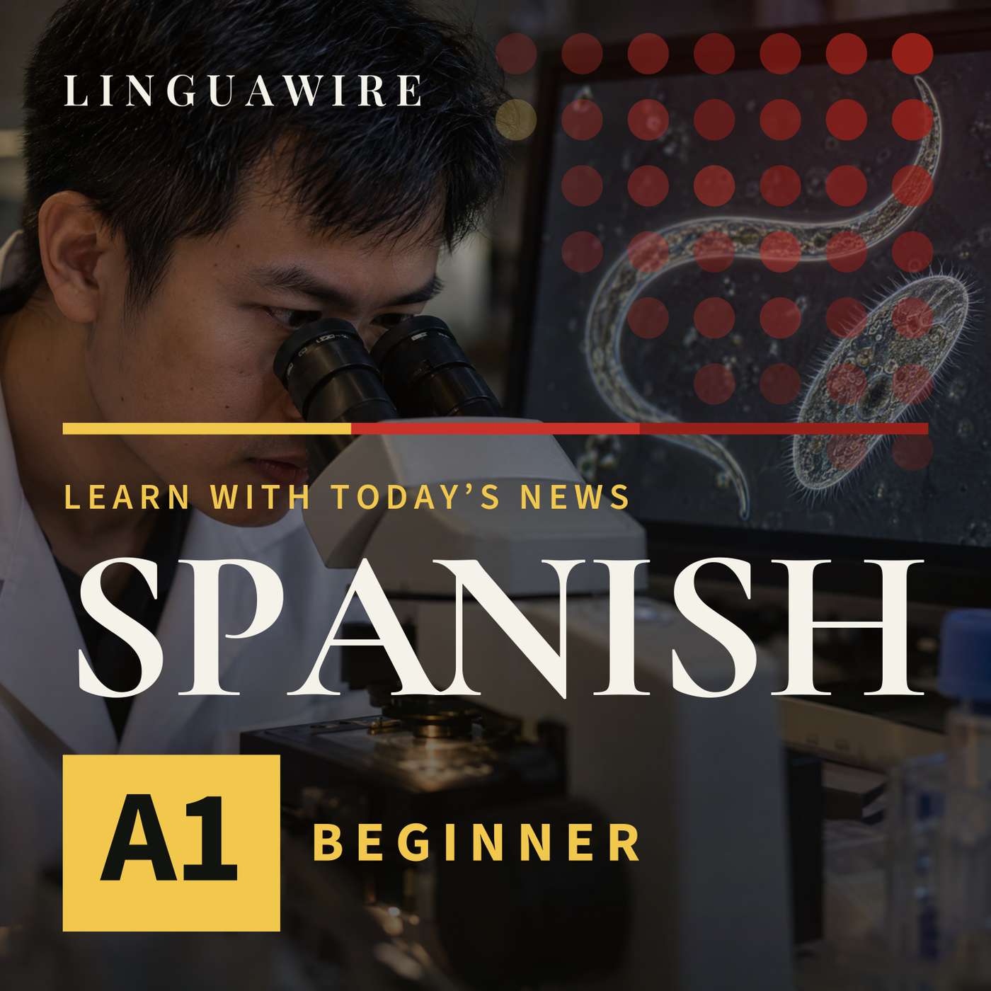 A1 Spanish News | Why Vietnam Has a New Microscopy Video Winner