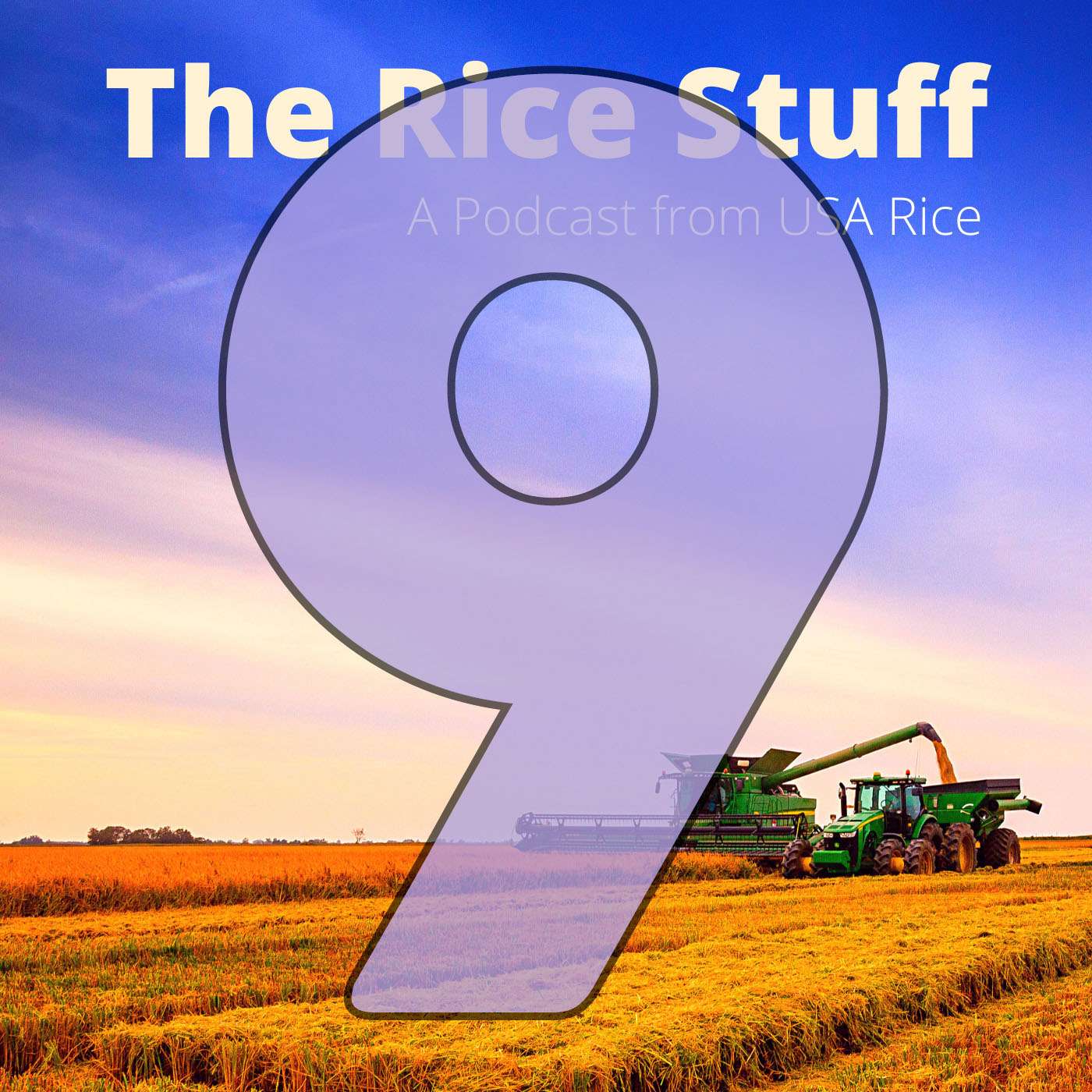 The Rice Stuff