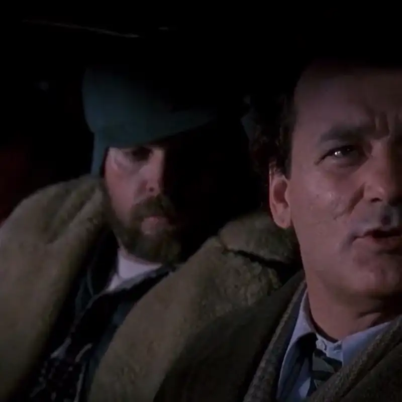 what is this—miami beach?