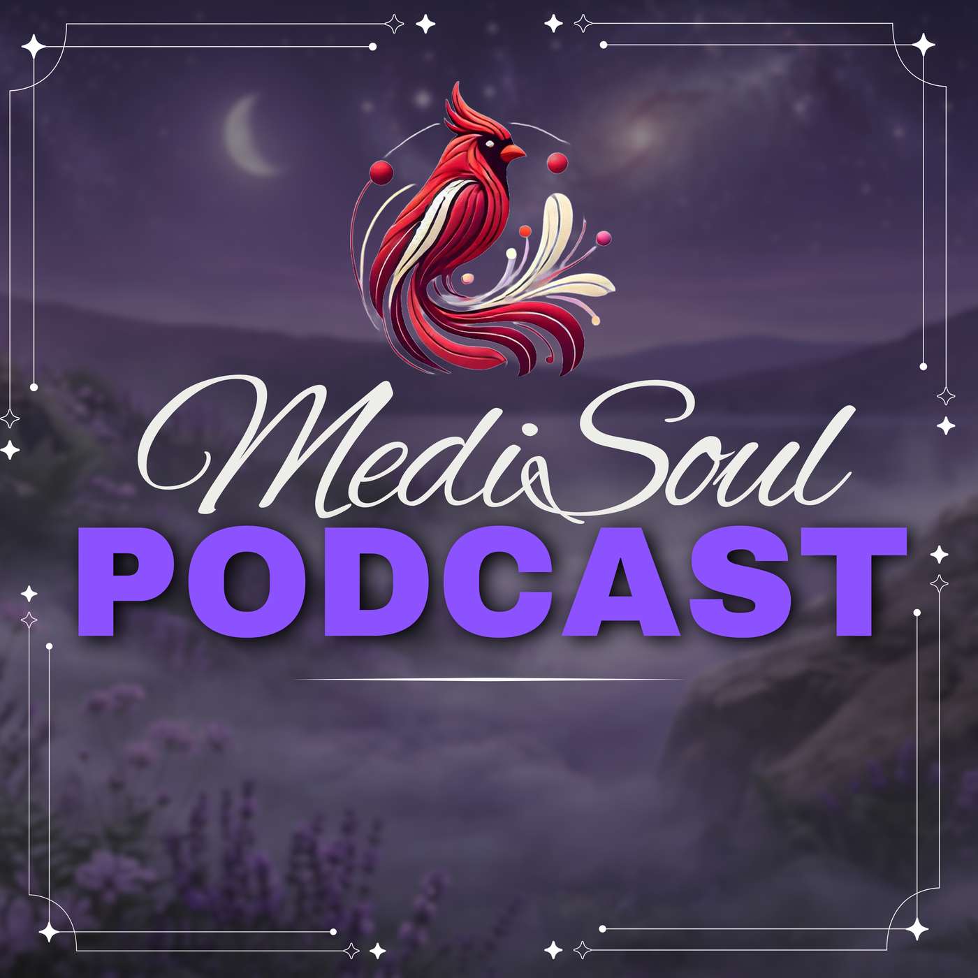 The MediSoul Podcast podcast artwork