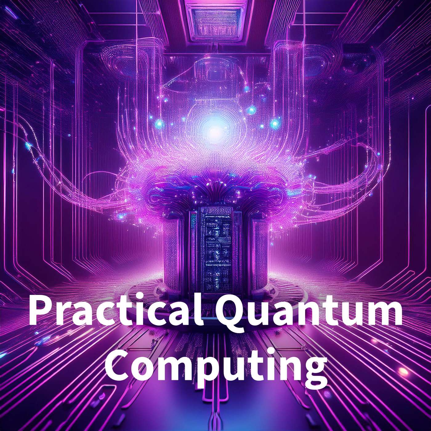 #222 Practical Quantum Computing