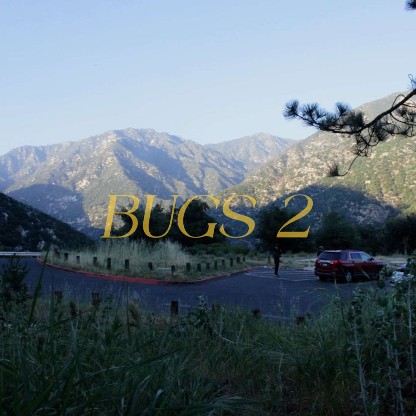 Bugs Pt 2 episode artwork