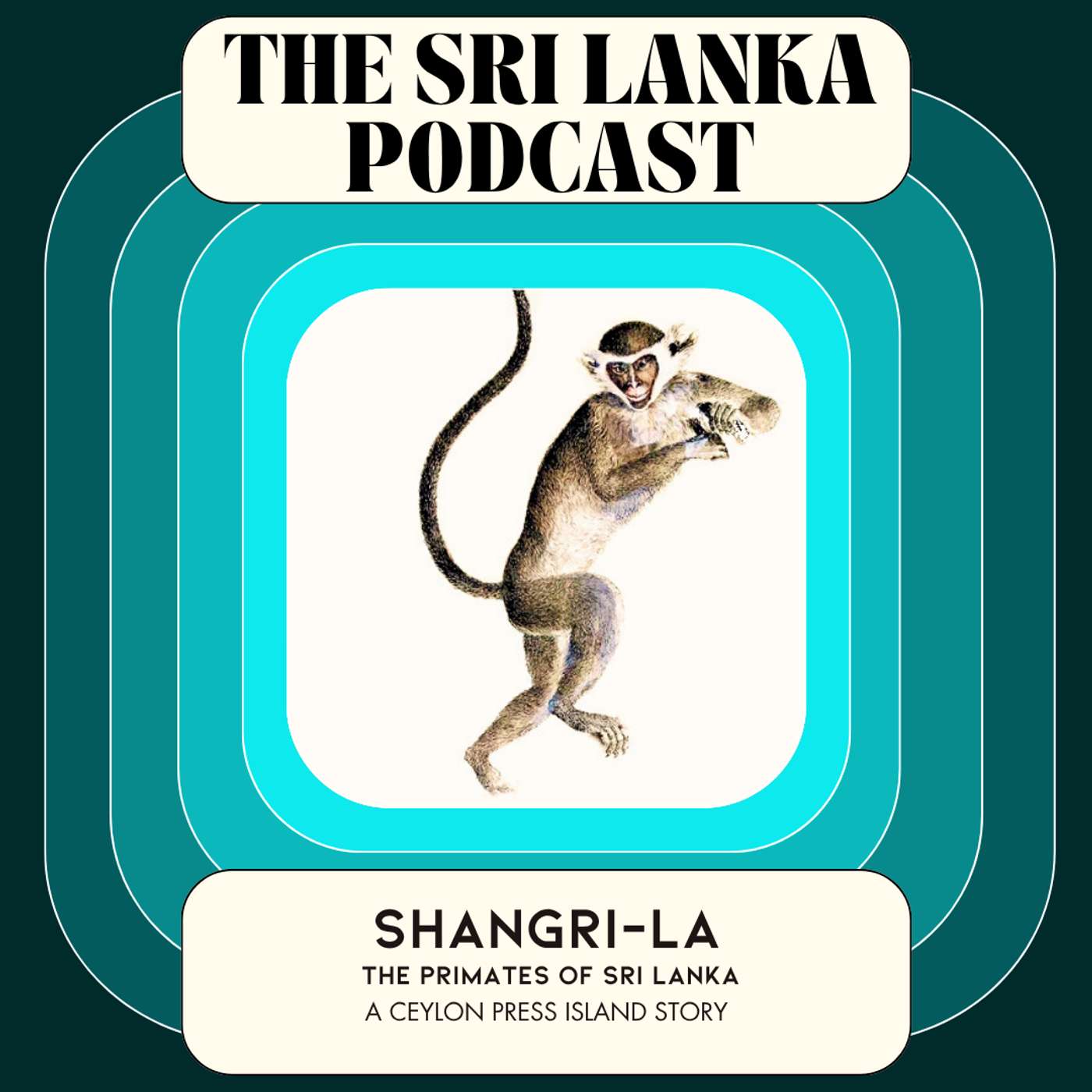 Shangri-la: The Primates of Sri Lanka. A Ceylon Press Island Story episode artwork
