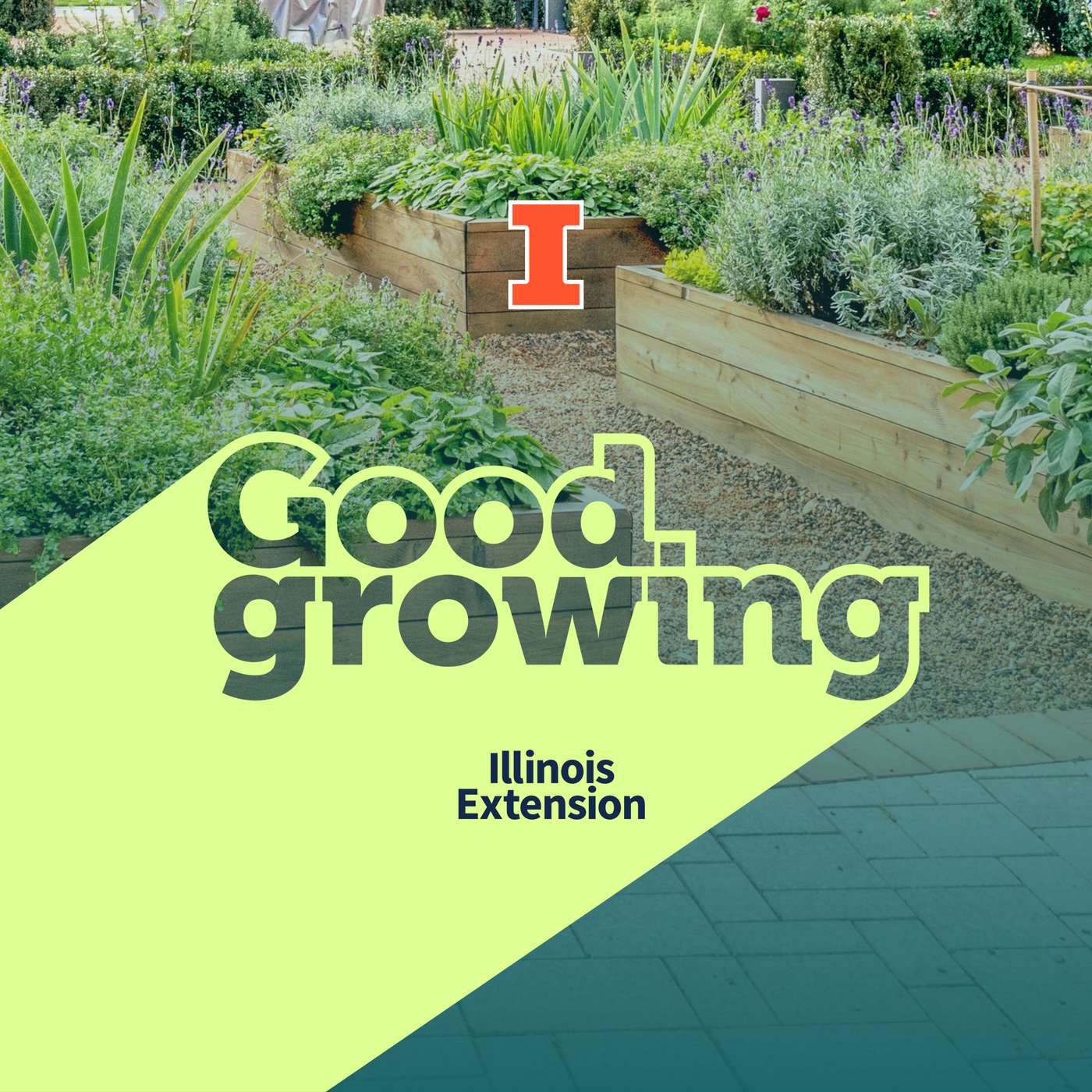 Ep. 220 From the ground up: How to create and care for raised bed gardens | #GoodGrowing Ep. 220 From the ground up: How to create and care for raised bed gardens | #GoodGrowing