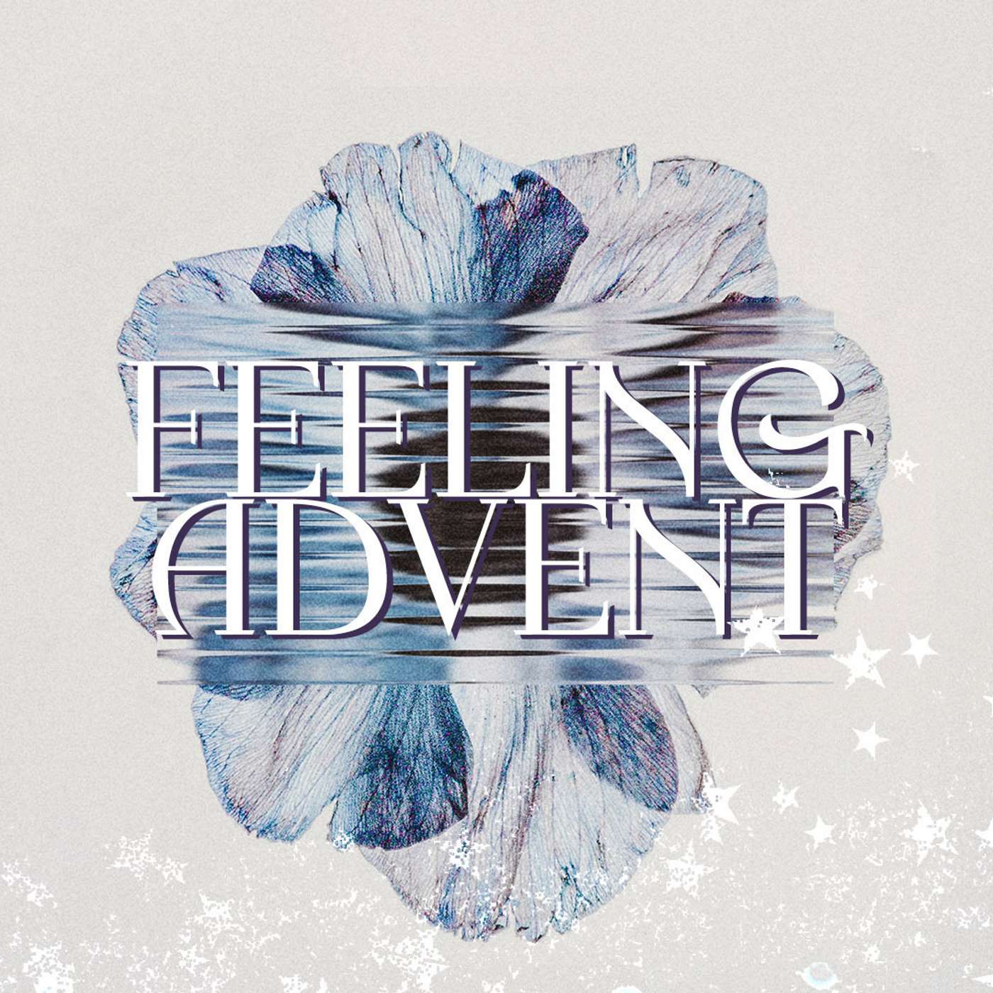 Feeling Dazzled - Bobbi Salkeld