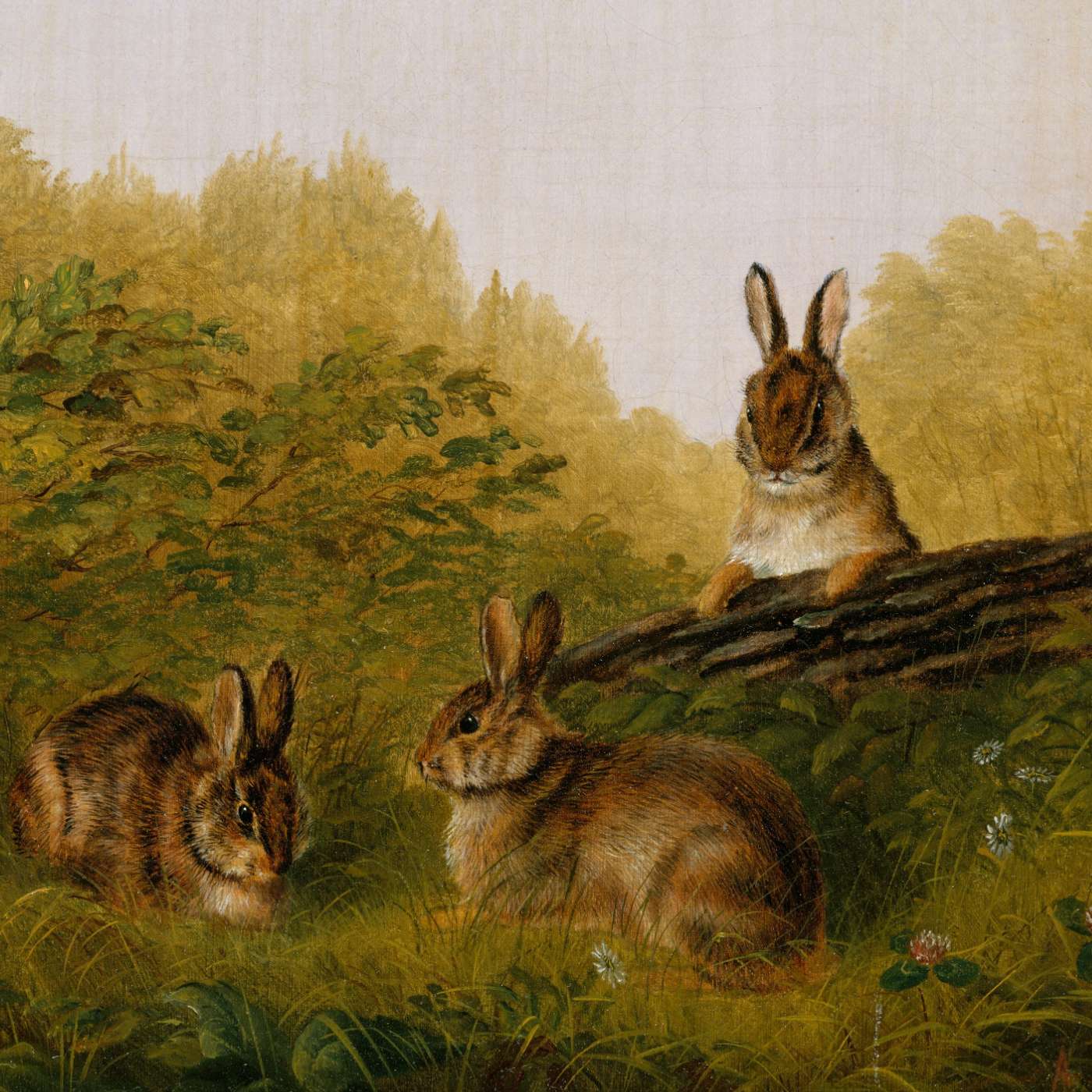 My Soul Clings to You