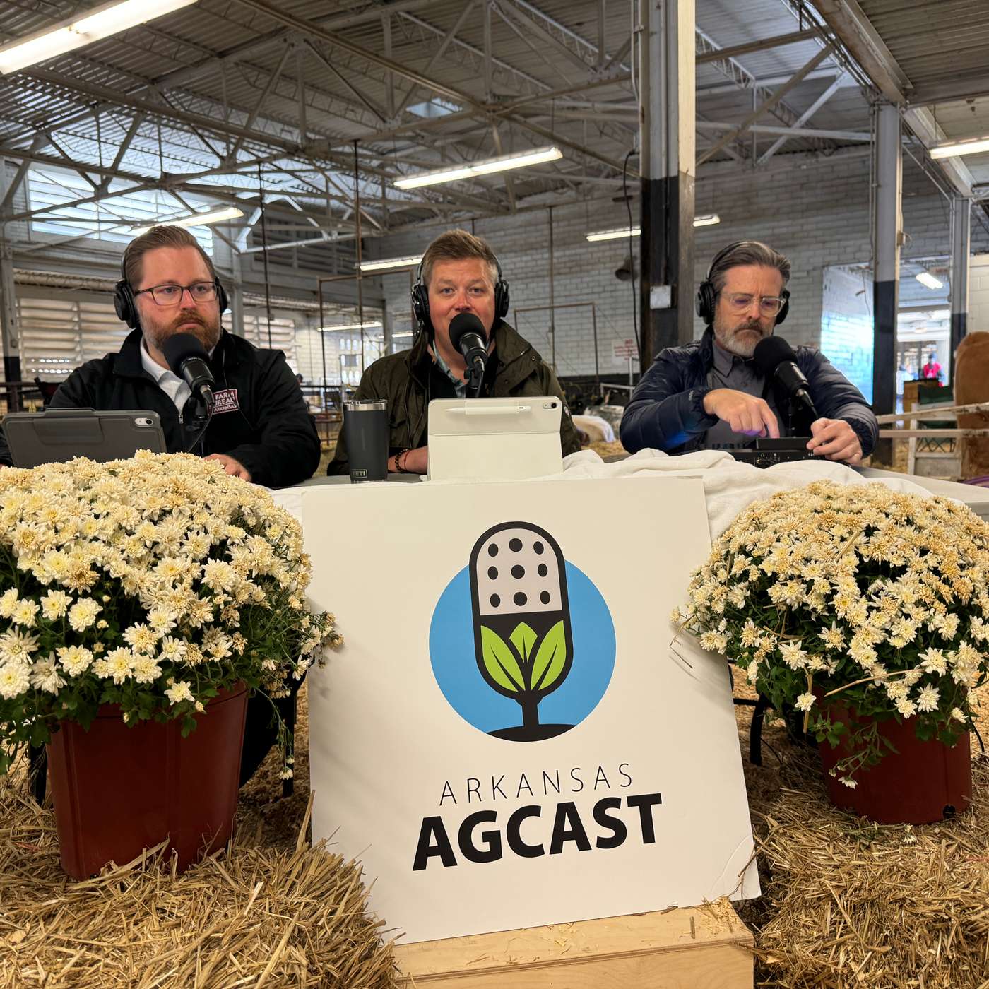Arkansas AgCast