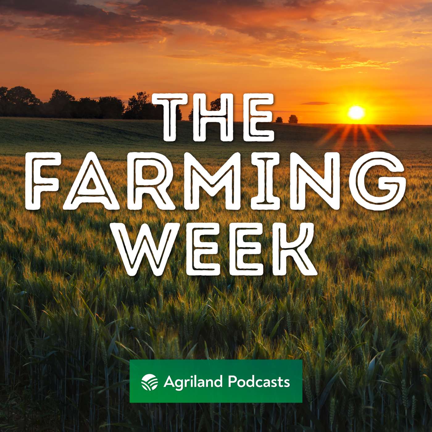 The Farming Week: SIM concerns; nitrates review and 'high class' Cork cow episode artwork