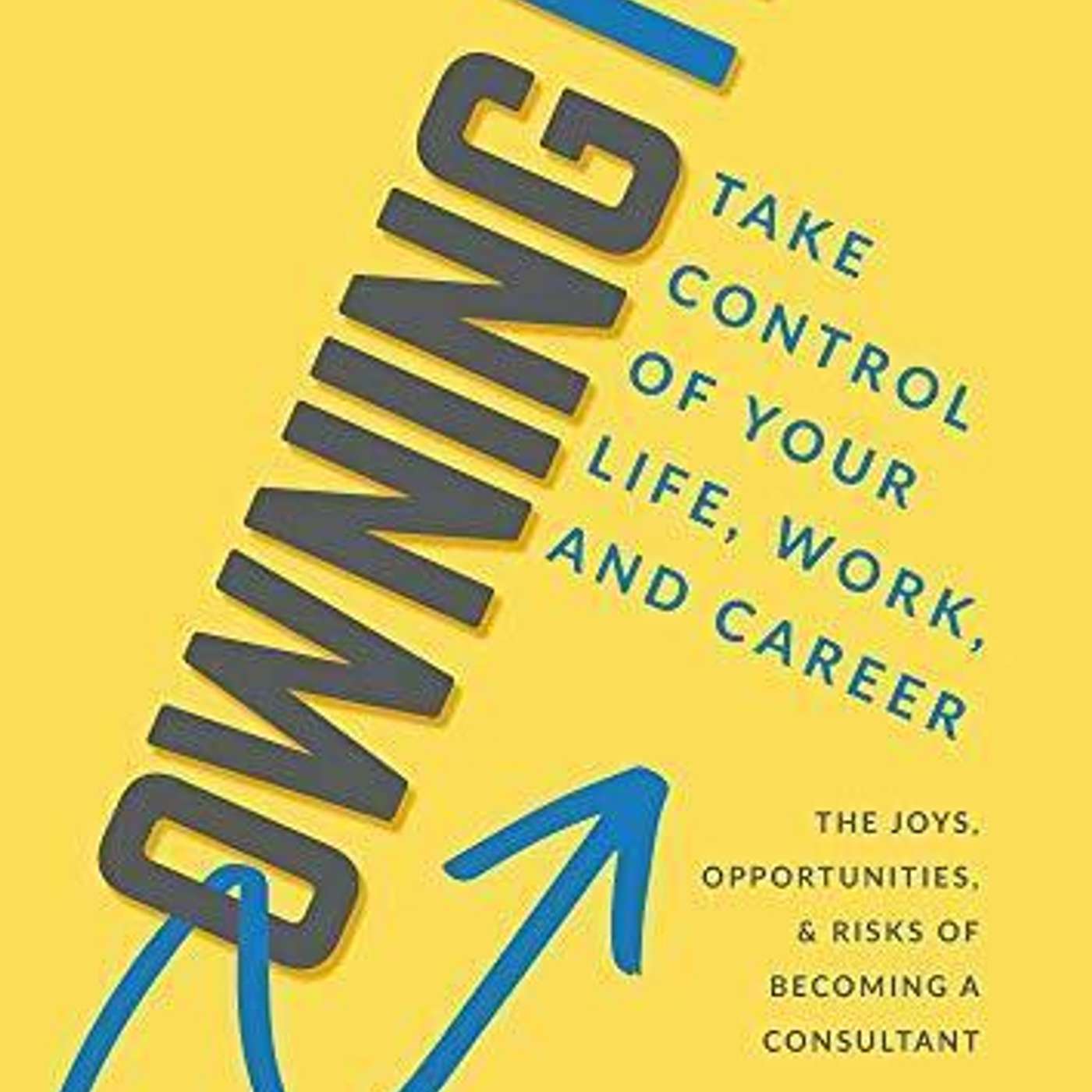 Owning It - Should You Start My Own Consulting Business? episode artwork