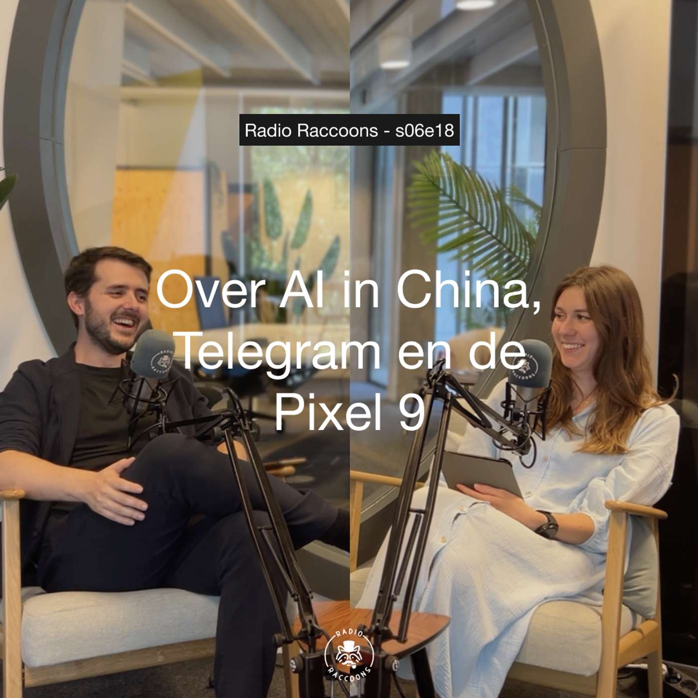 S06E18 - Over AI in China, Telegram en de Pixel 9 episode artwork