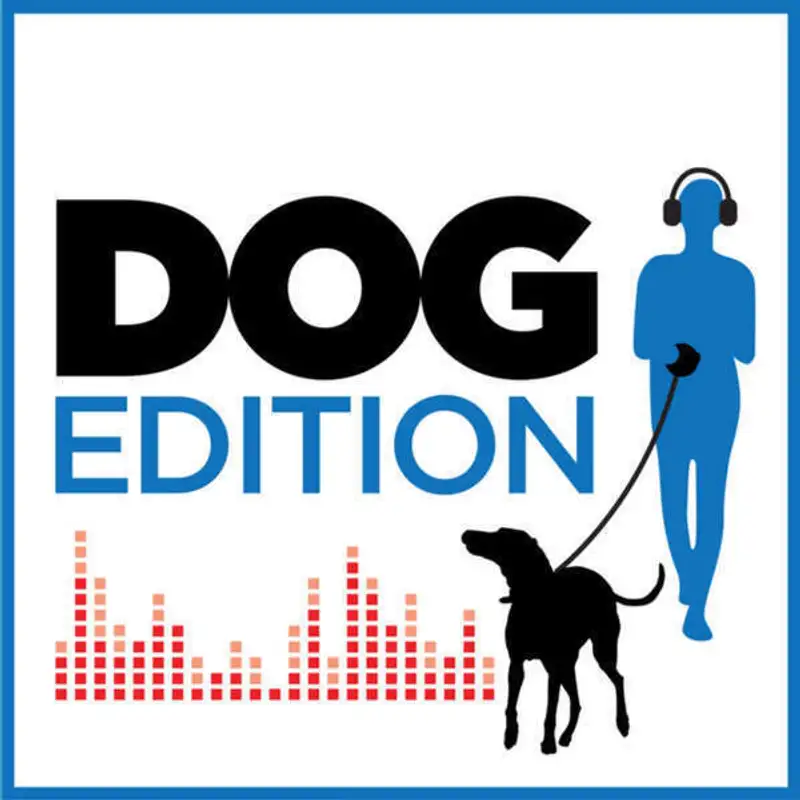 Apresentando: DogEdition! Nosso podcast convidado de hoje! {PART I}